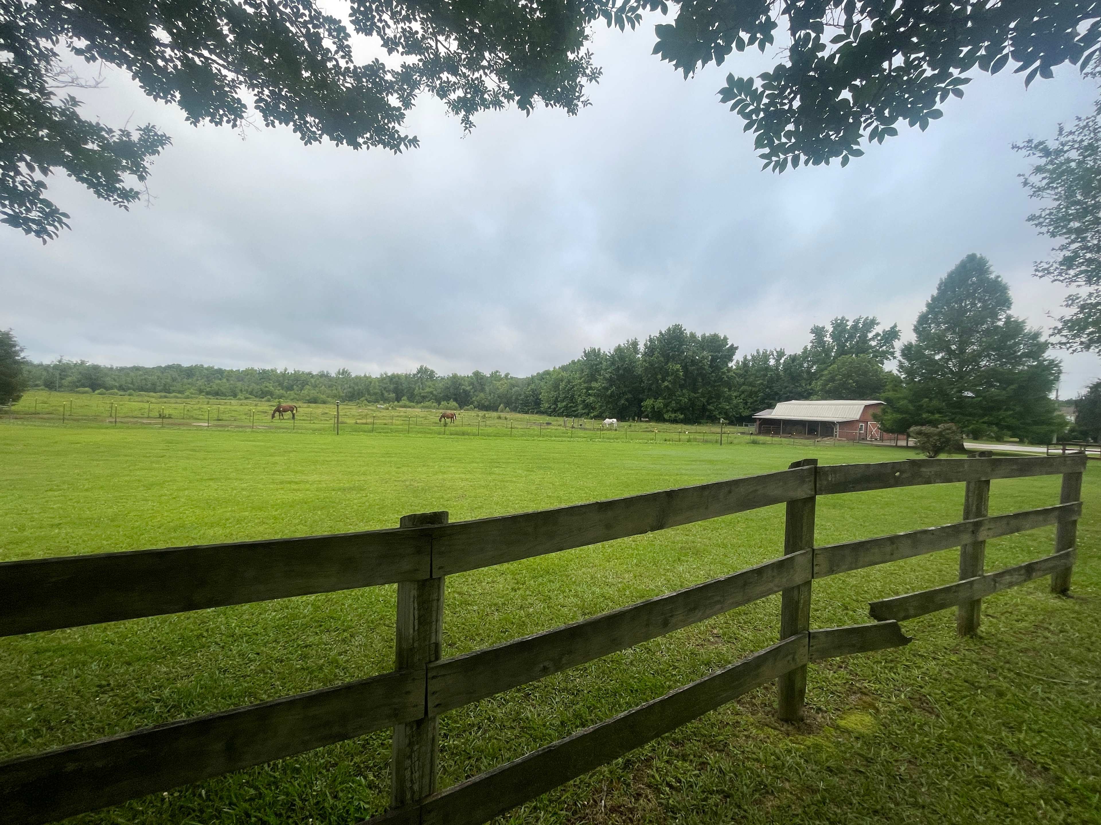 Moon Lake Farm - Camp, Fish, Relax