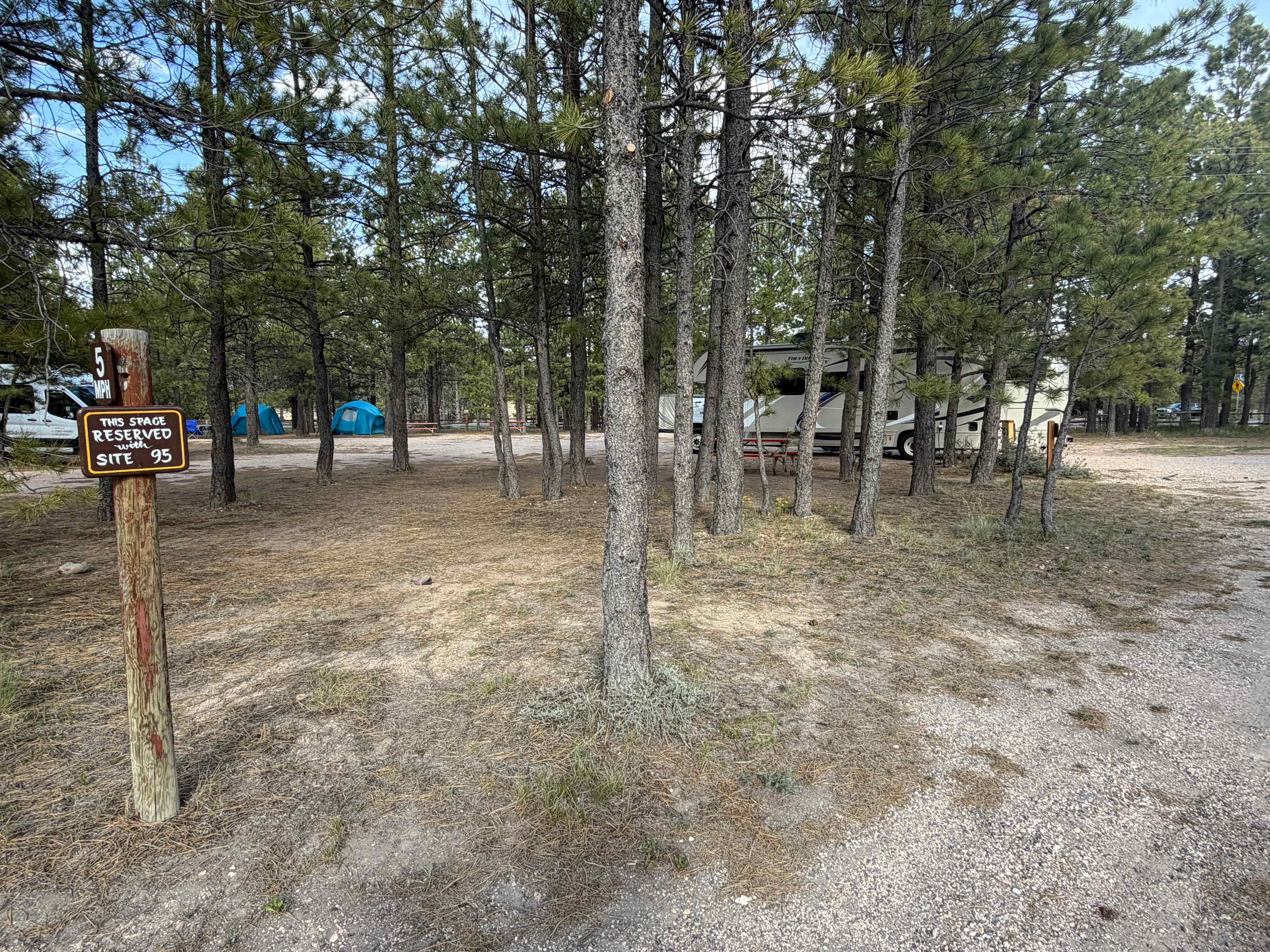 Picture of the site