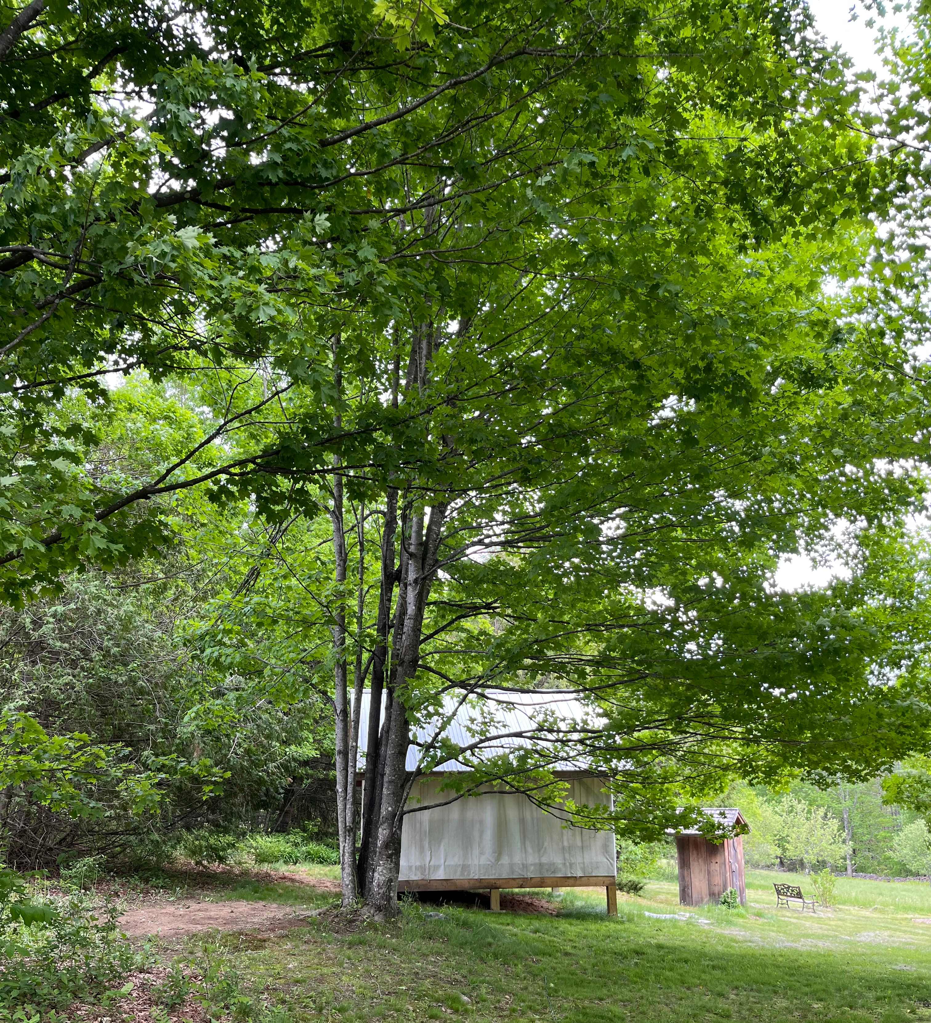 Picture of the site