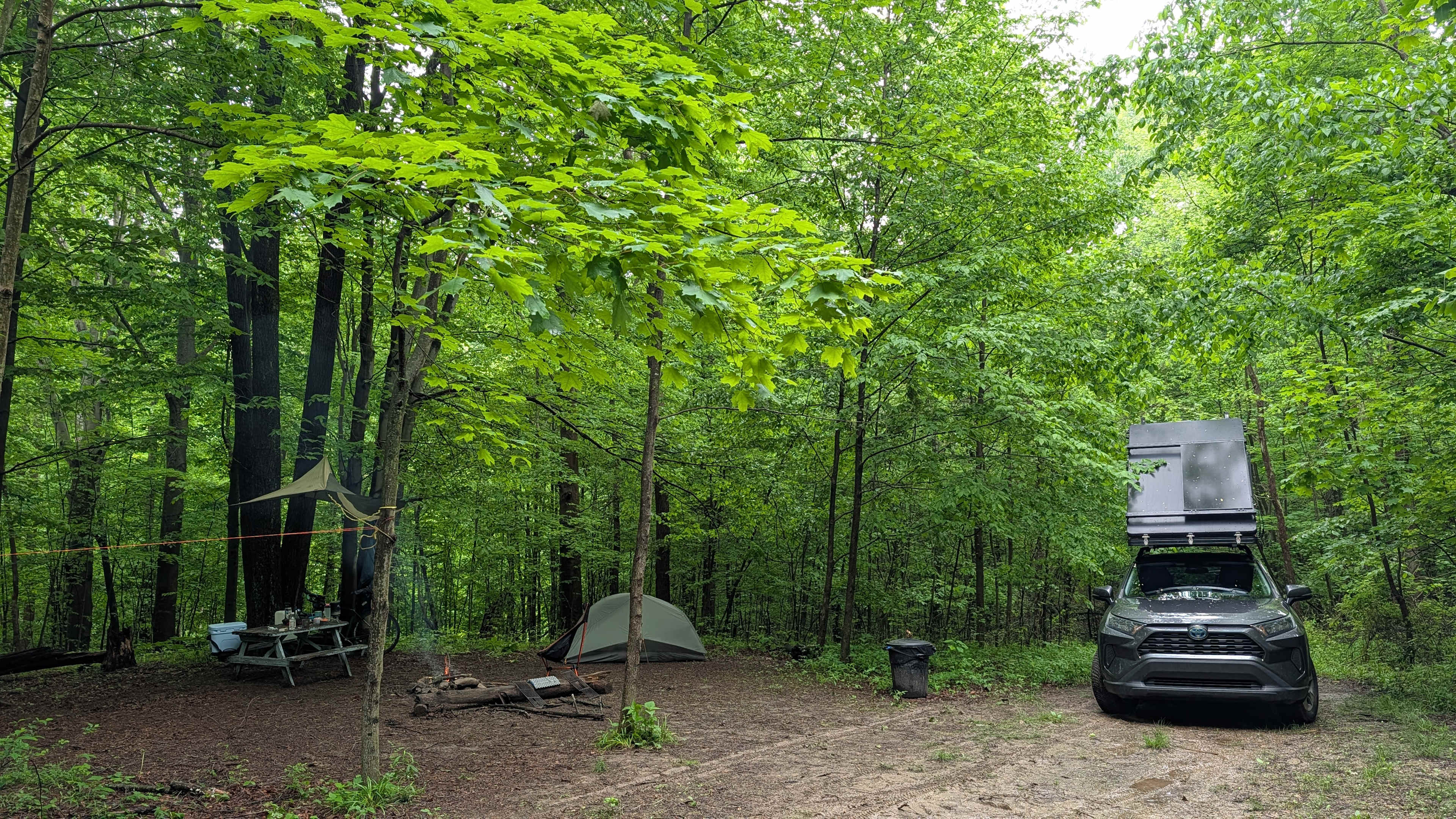 Second campsite in the woods