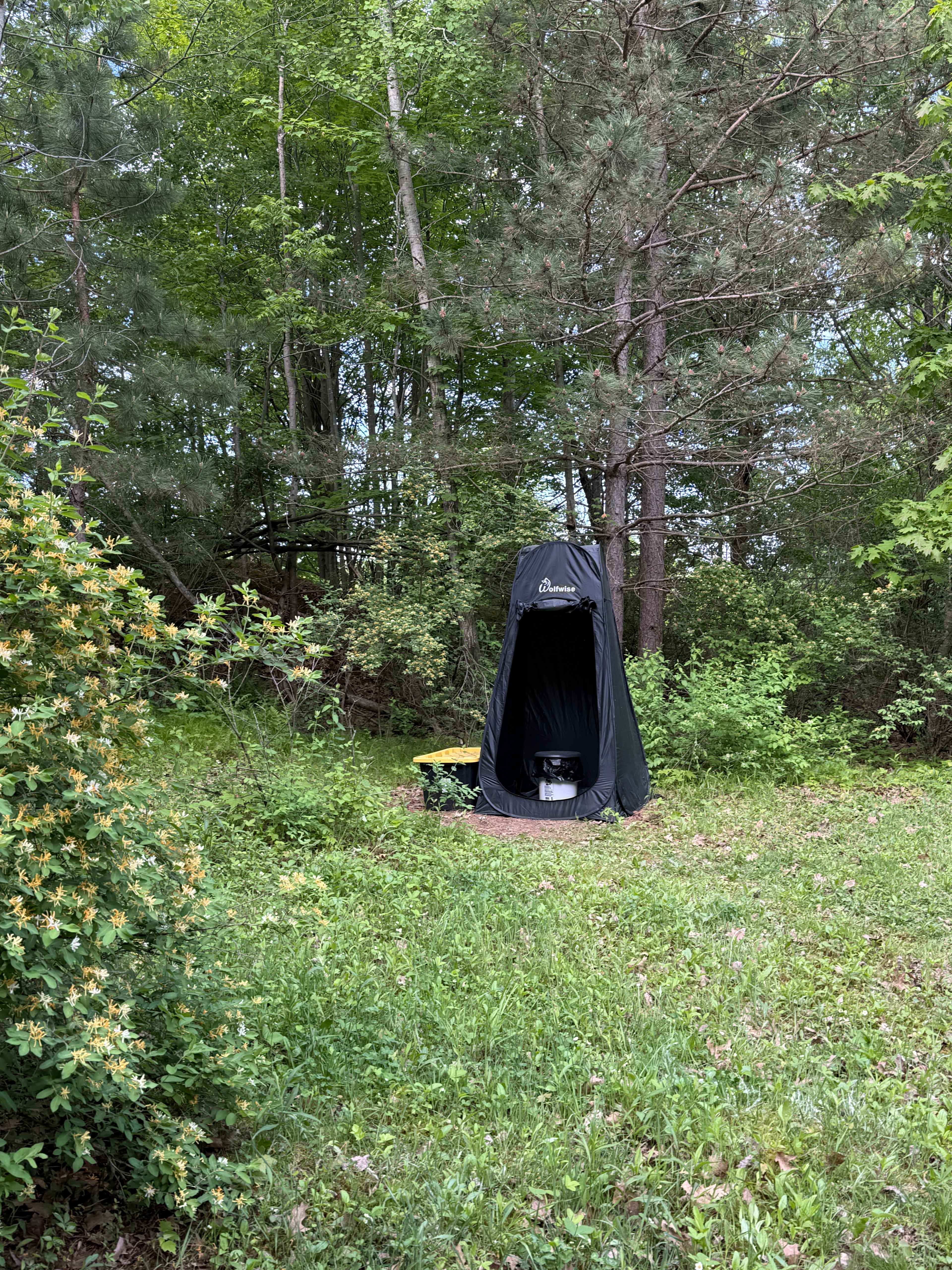 Meteor Ridge Forest