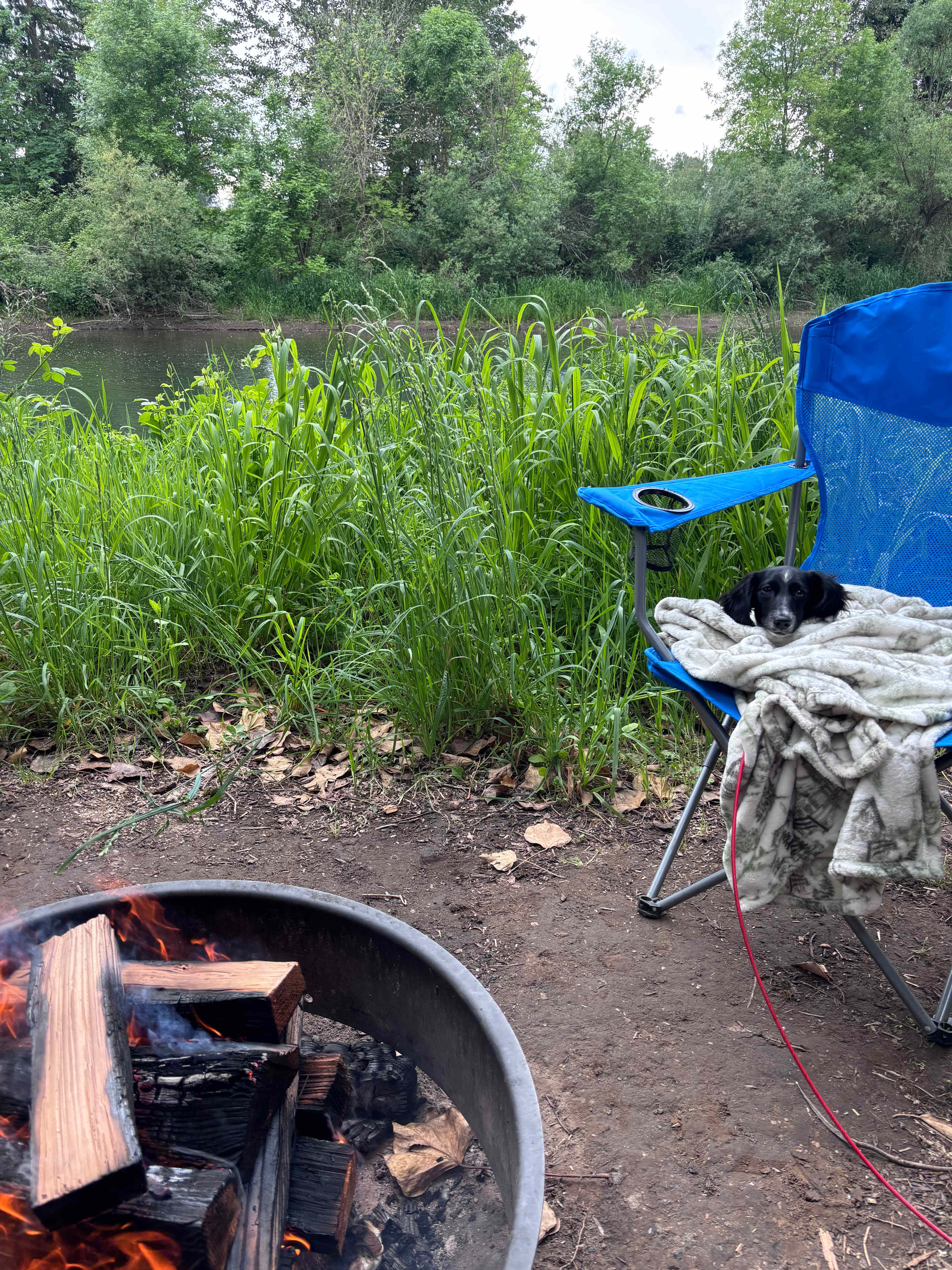 Our puppy Daisy Mae loved the campsite and the owners were so sweet & nice to her!