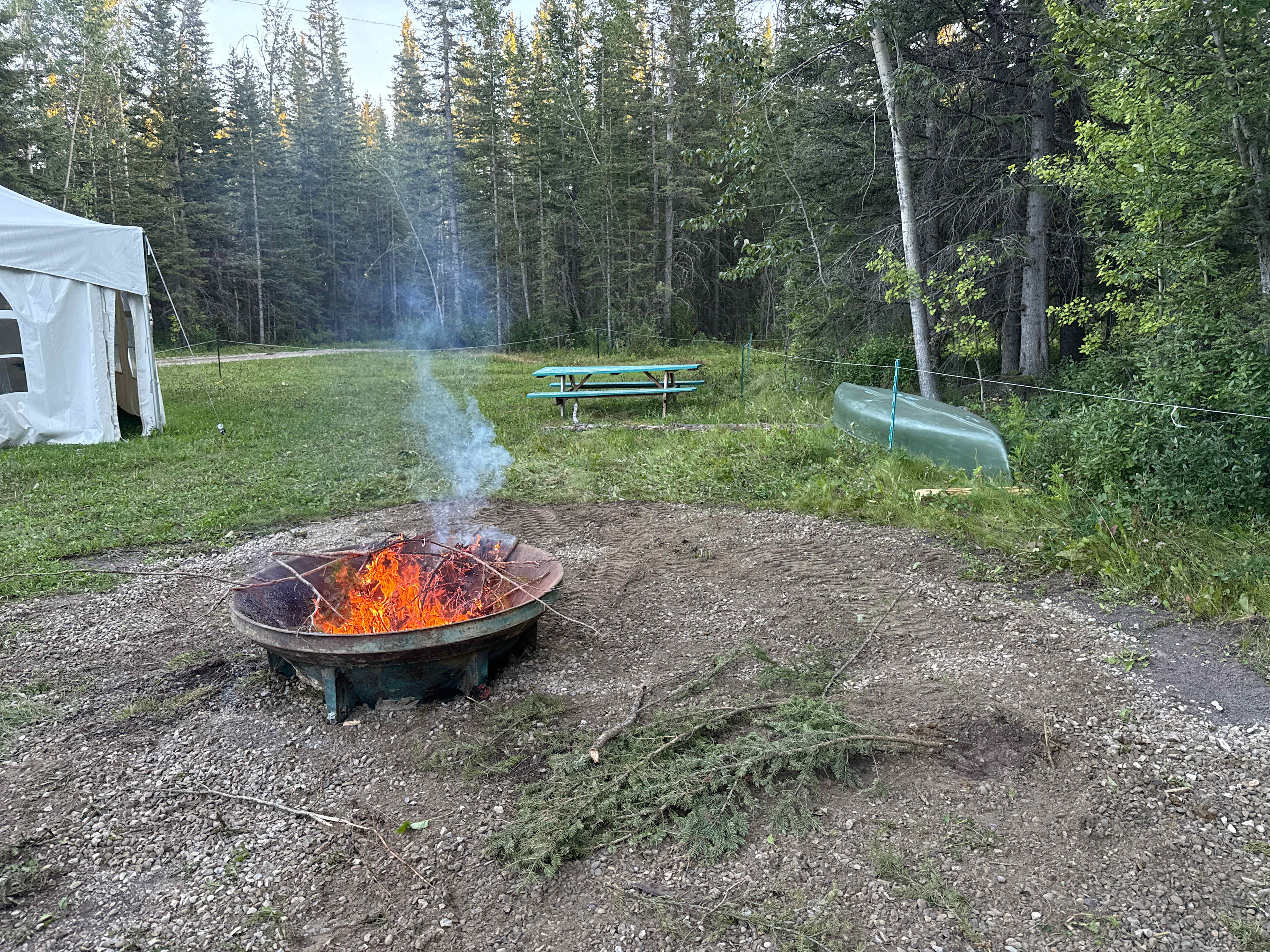Picture of the site