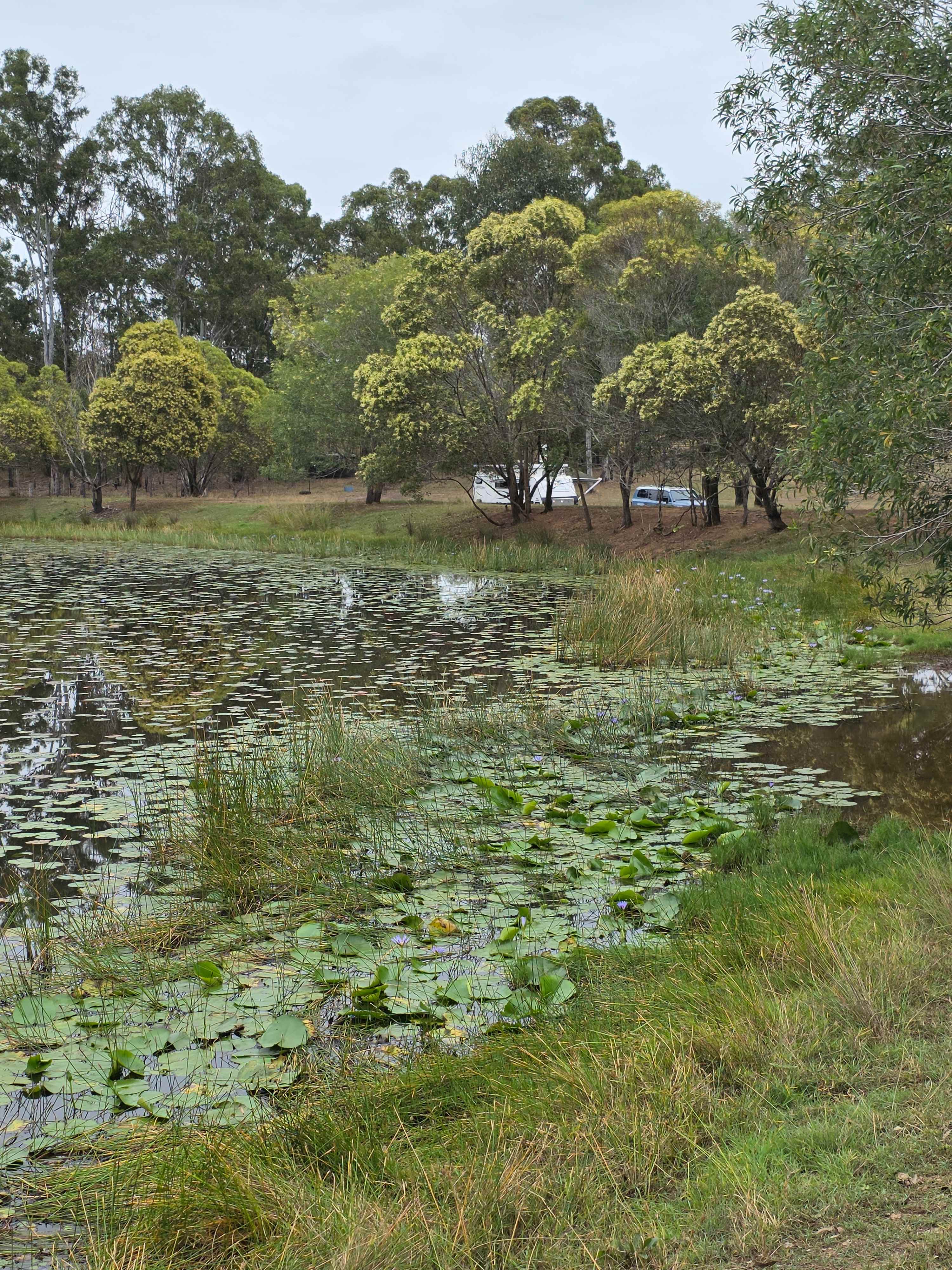 Gumtree Dam Highlands