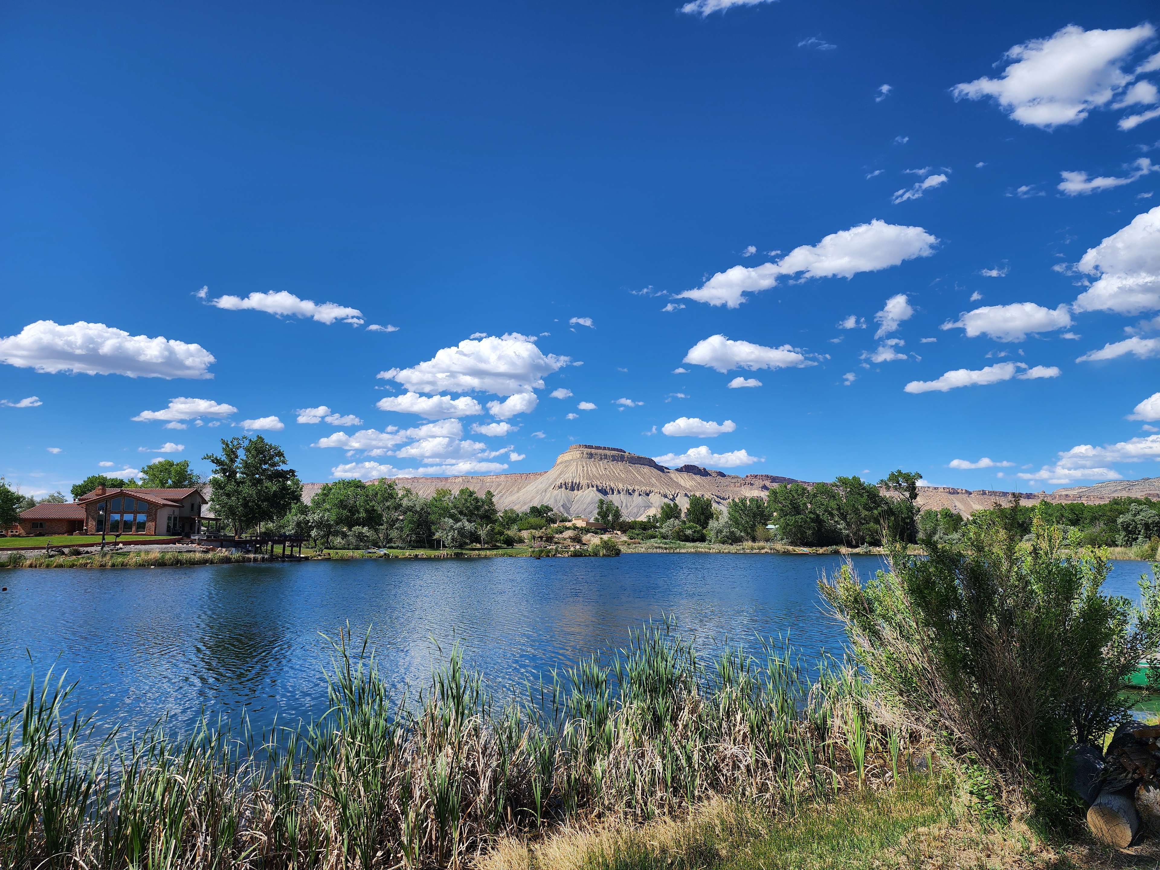 Surrounding landscape viewable from camp
