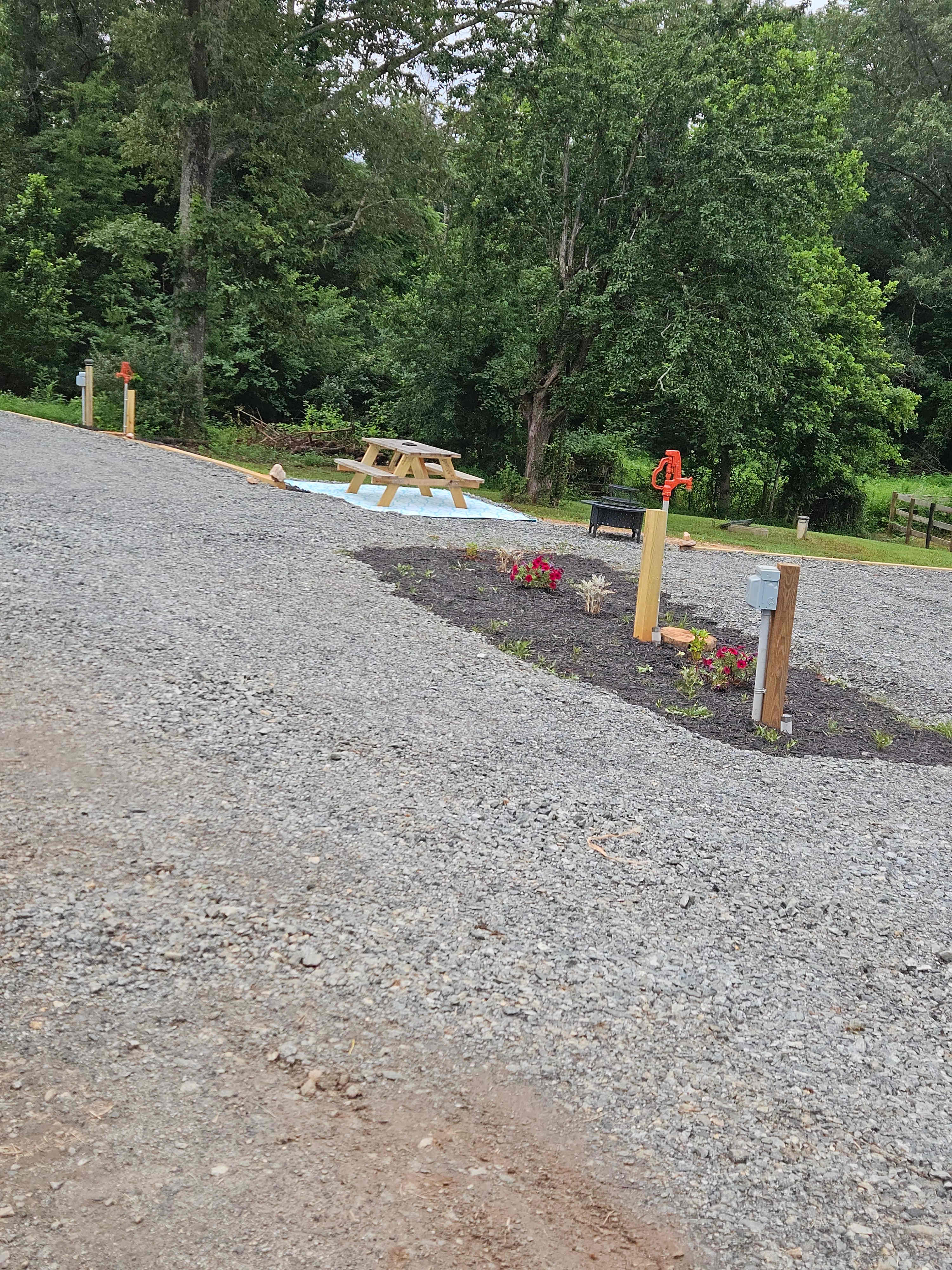 Picture of the site