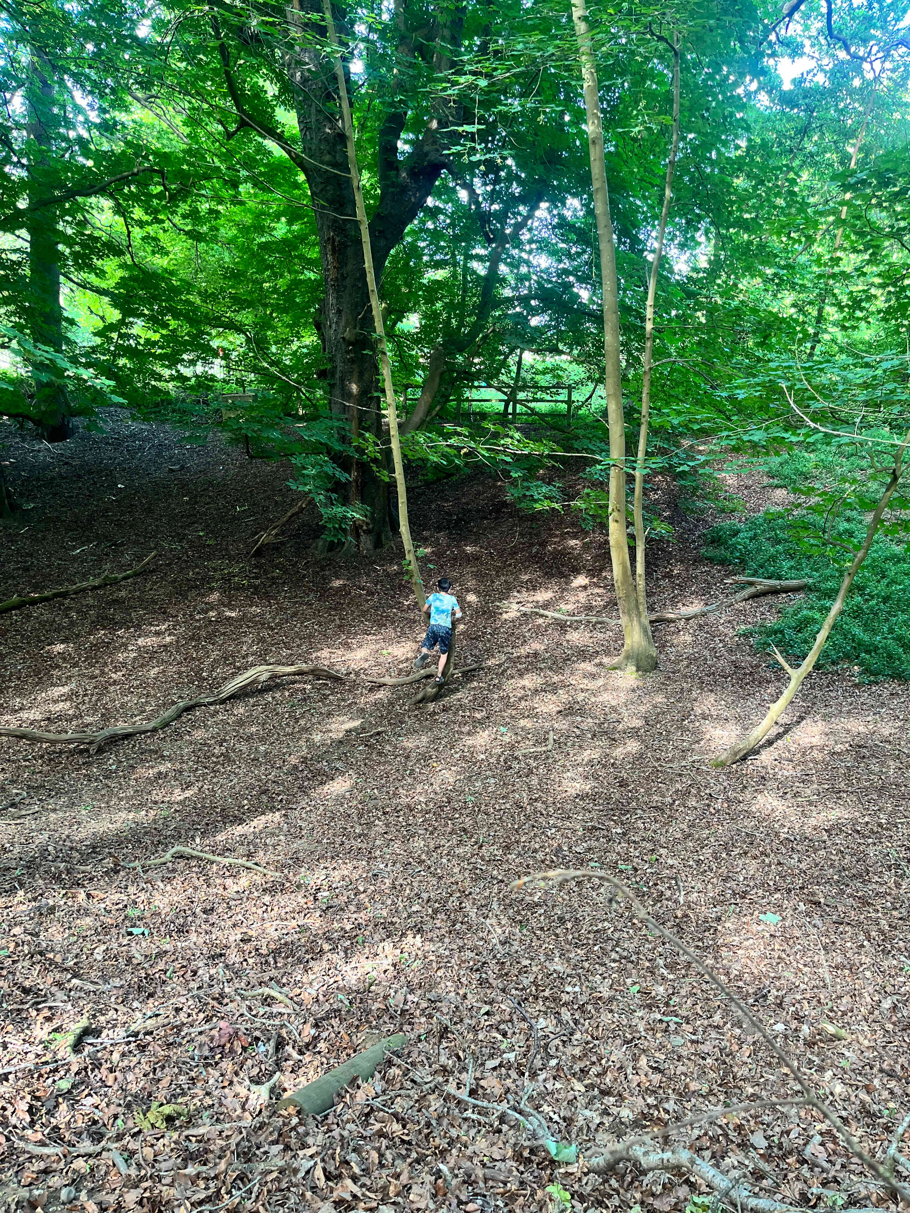 Whitlingham Broad Campsite