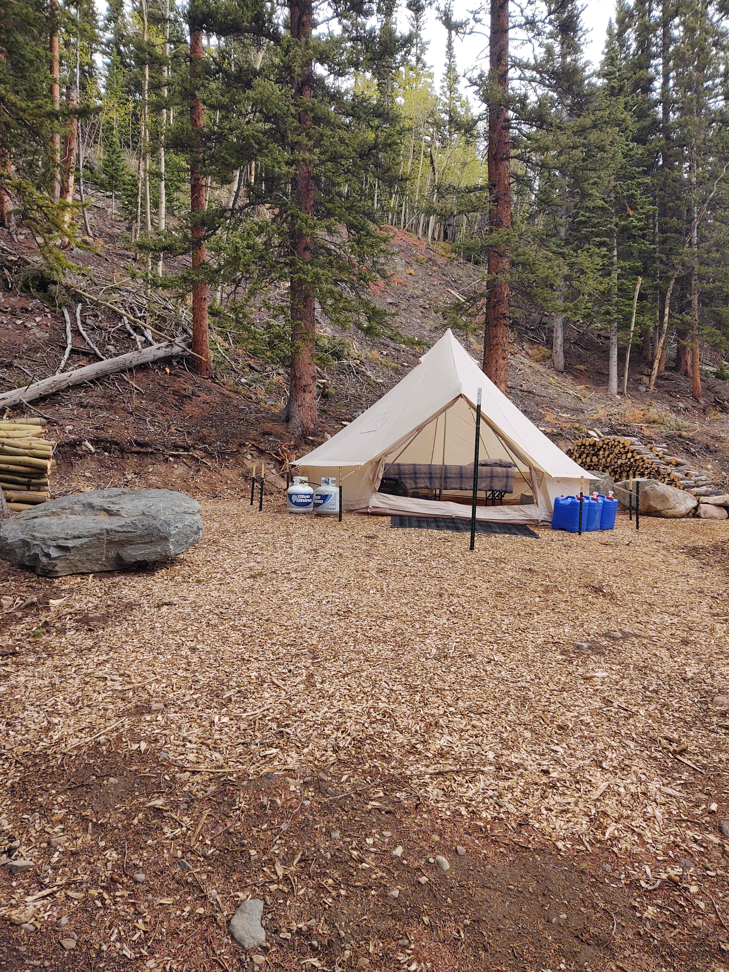 Picture of the site