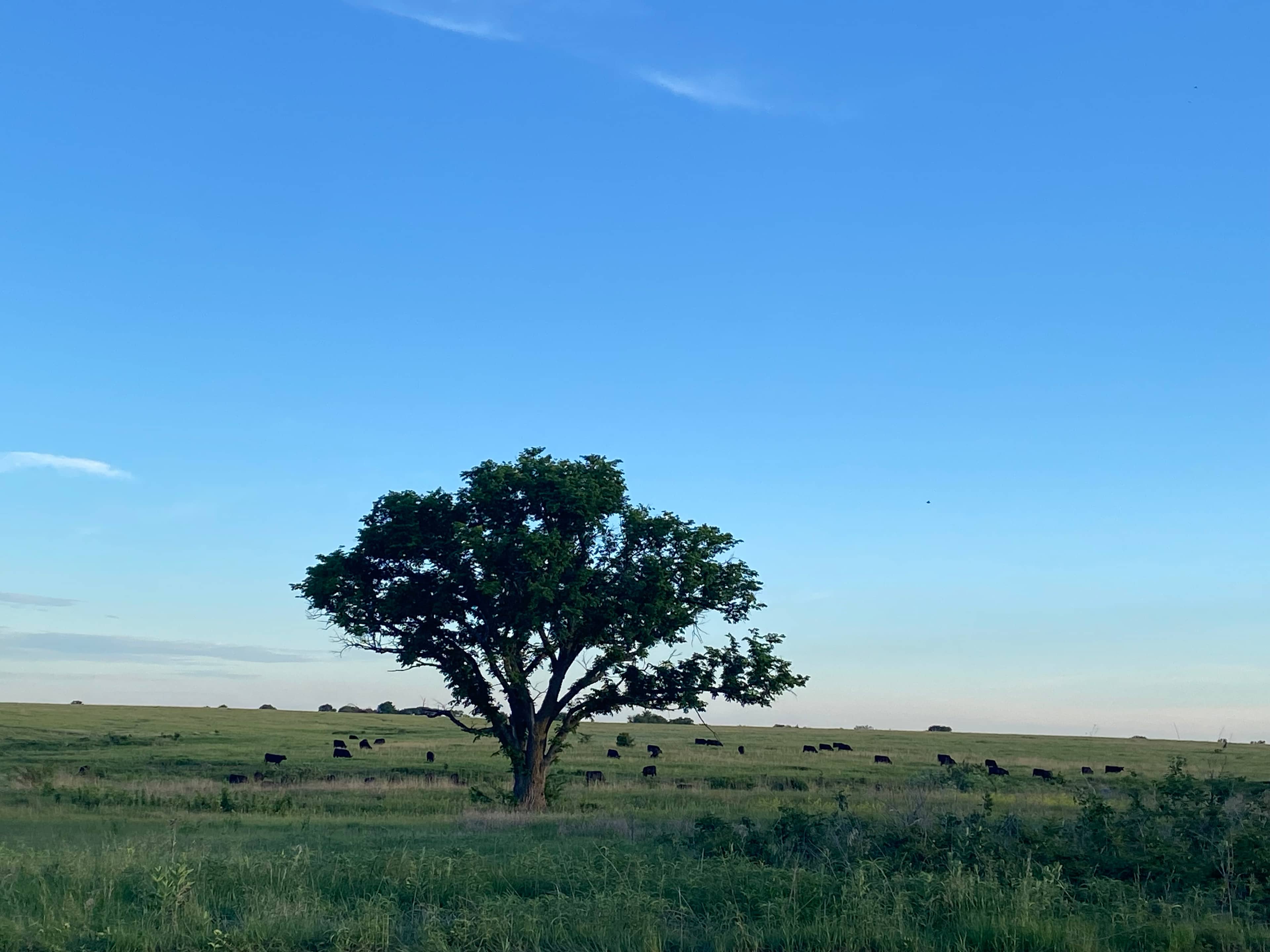 View from Site 1