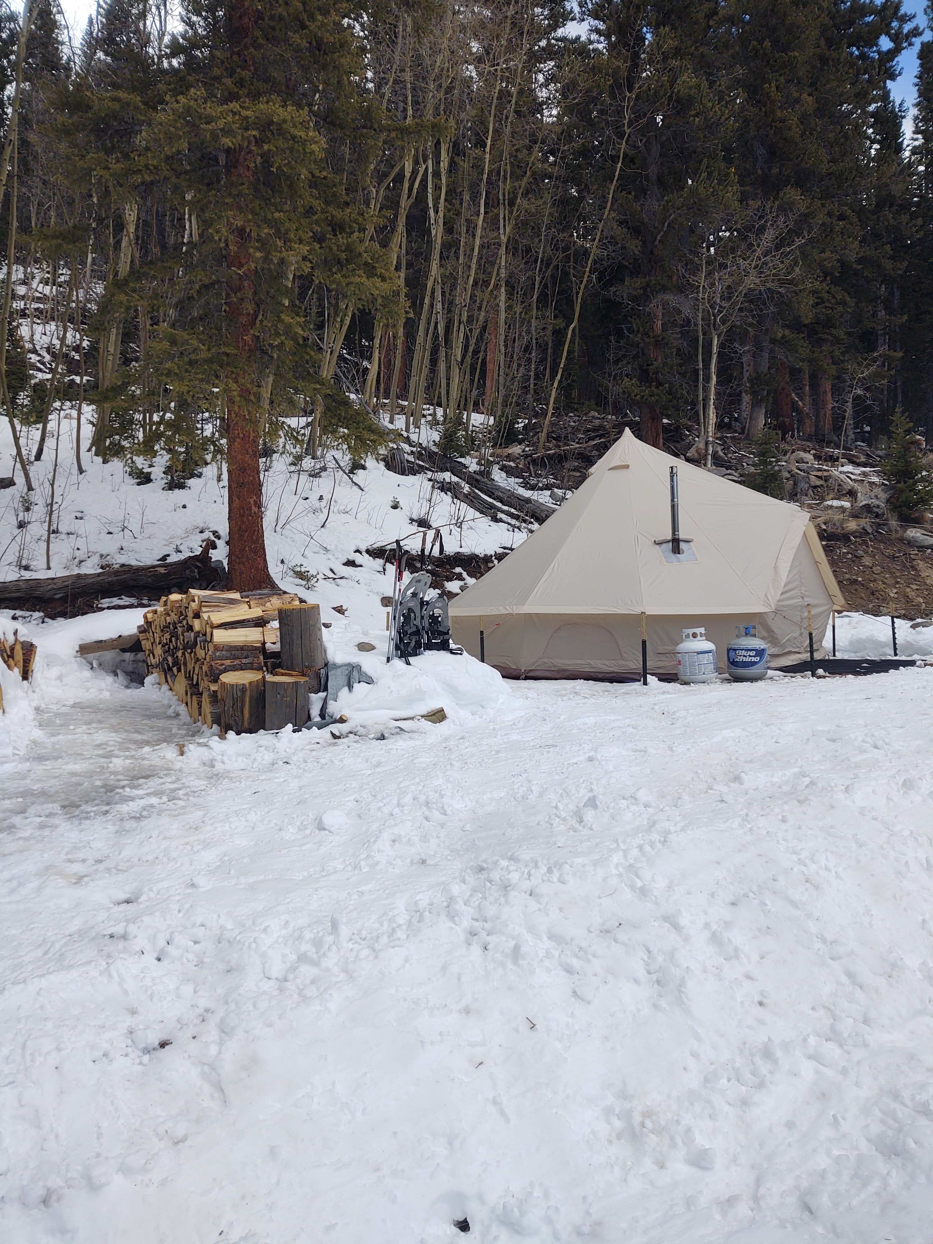 Picture of the site