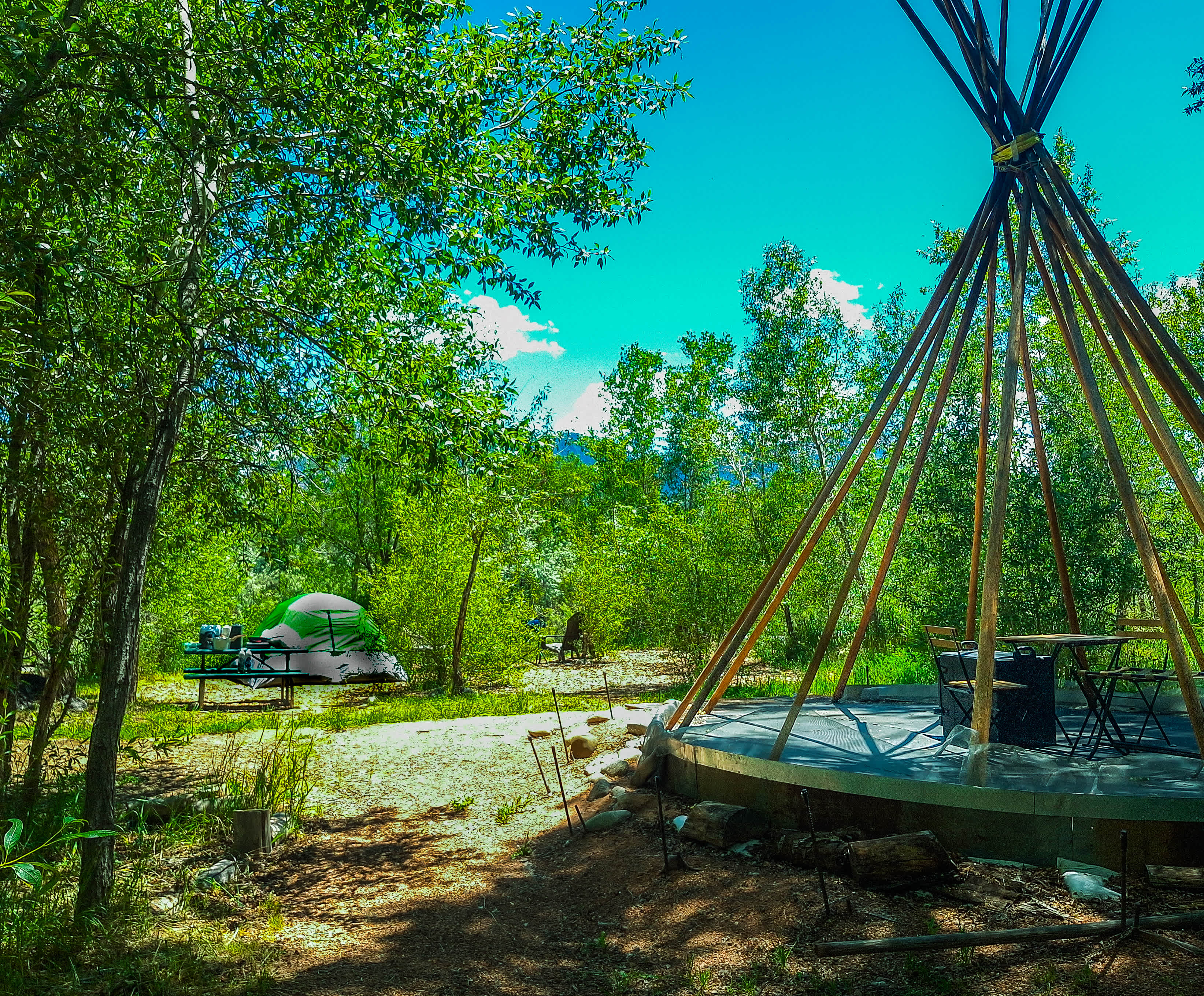 Picture of the site