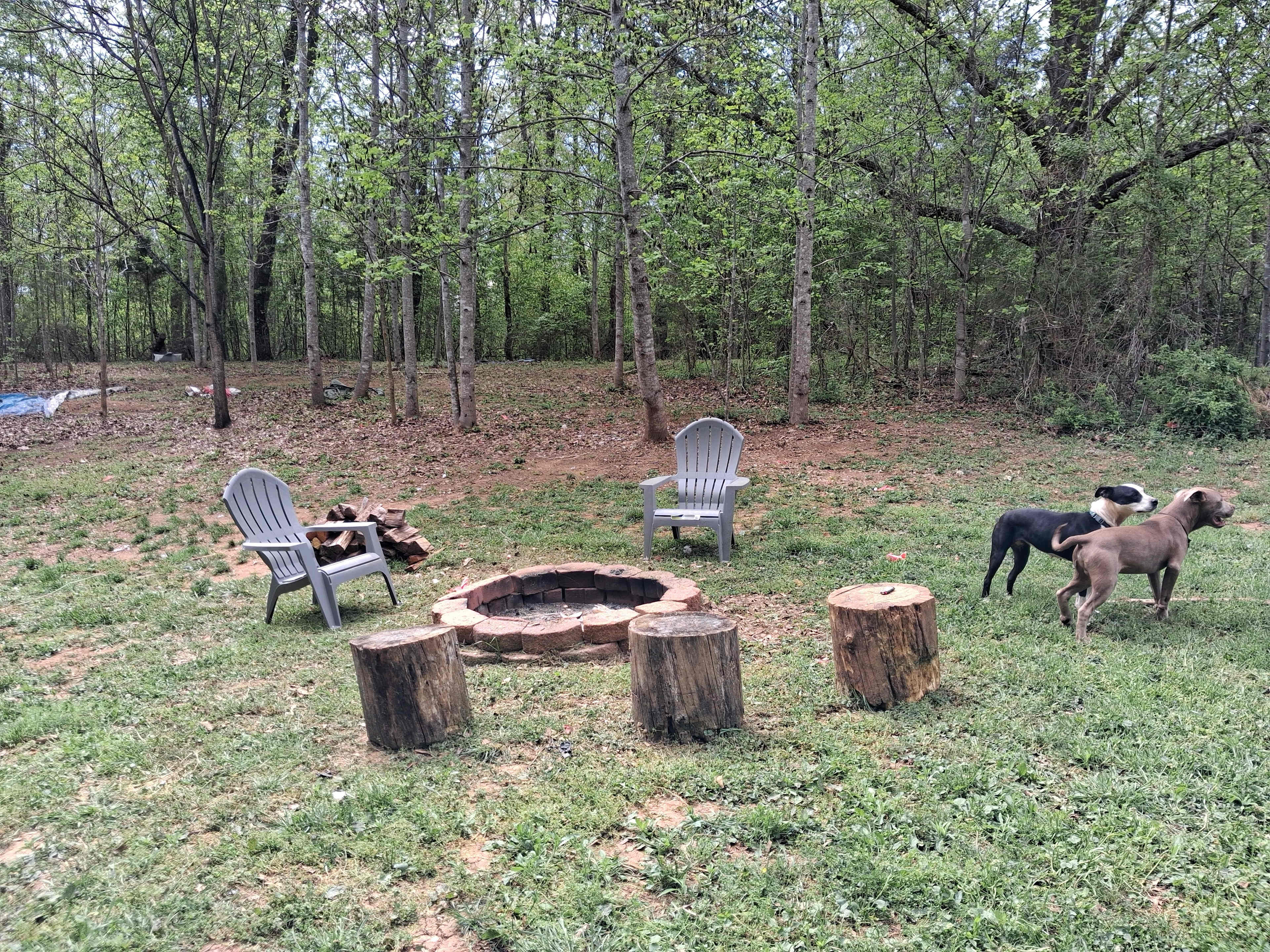 Picture of the site