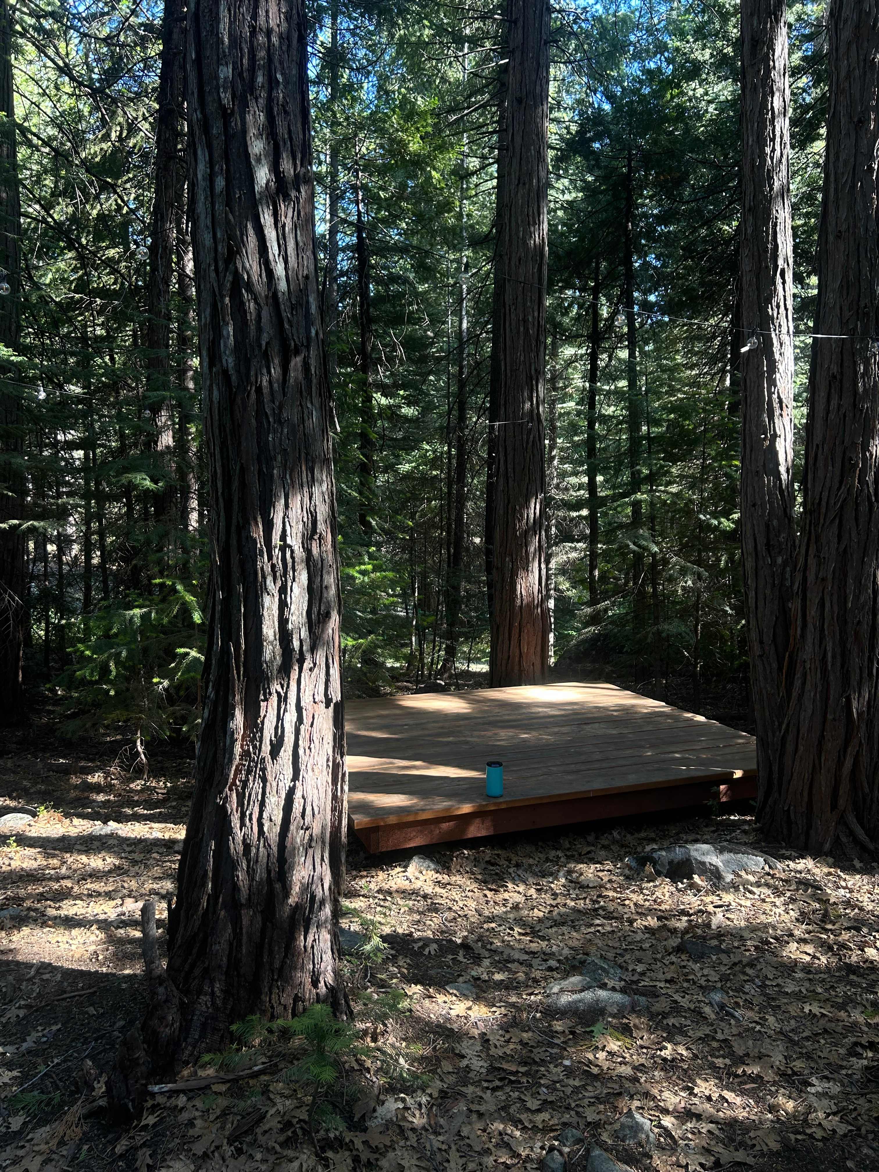 Bright Bear Camp in Tahoe NF