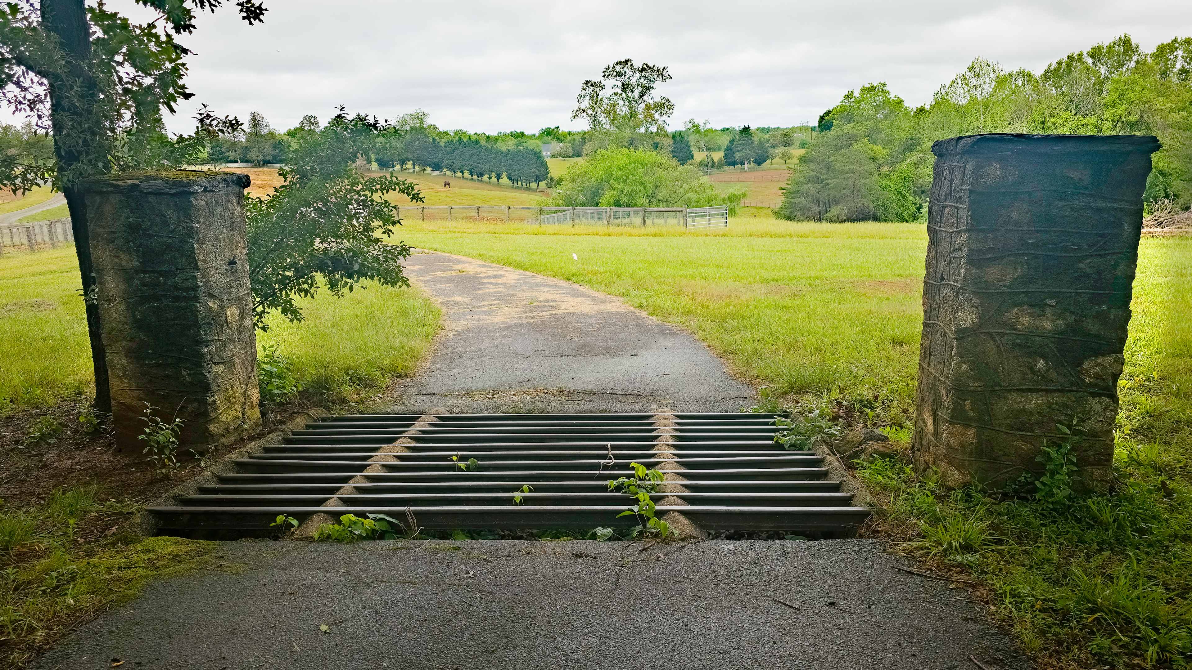 Private Farm Minutes to Cville