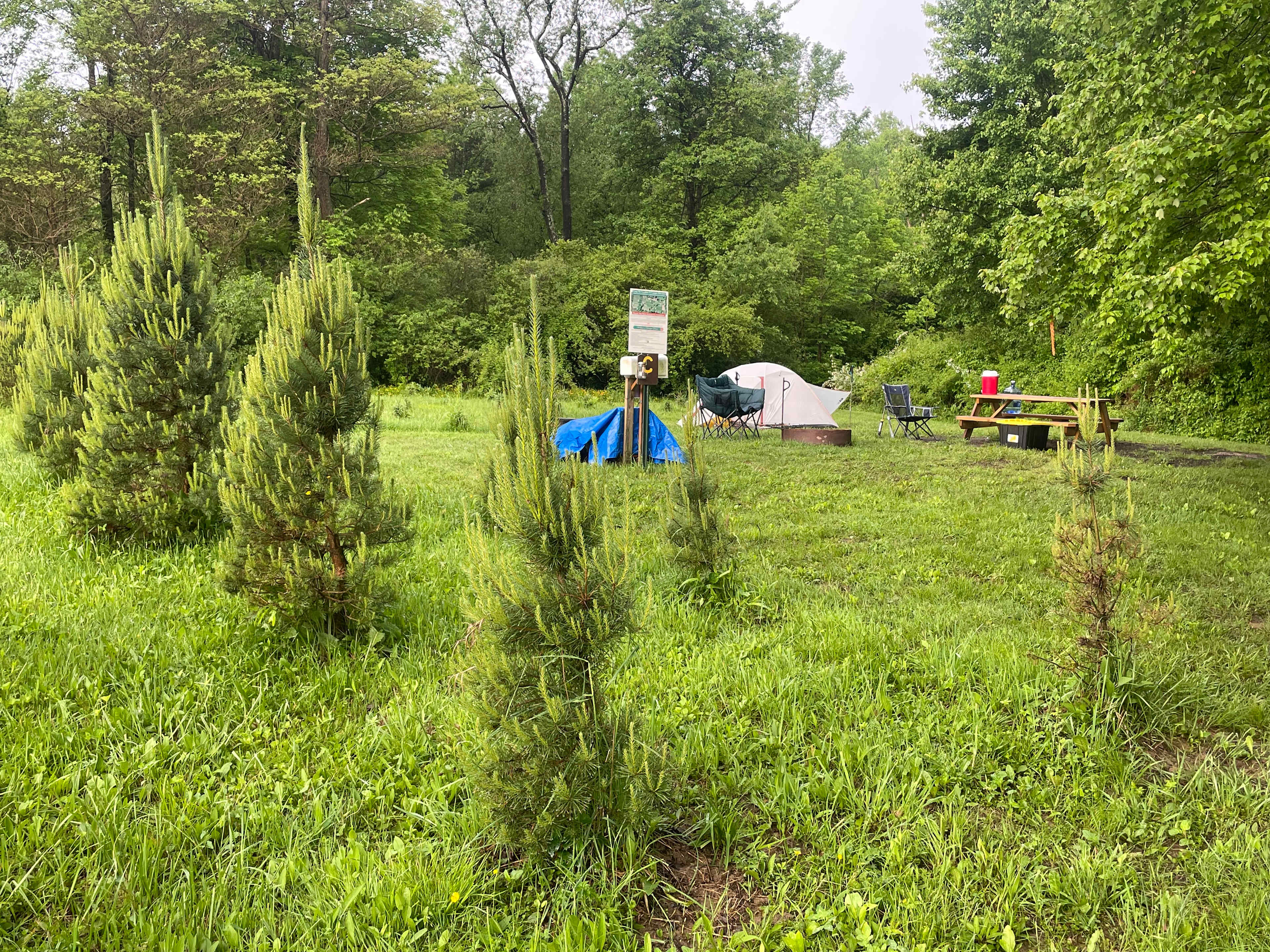Camping at Heritage Farms