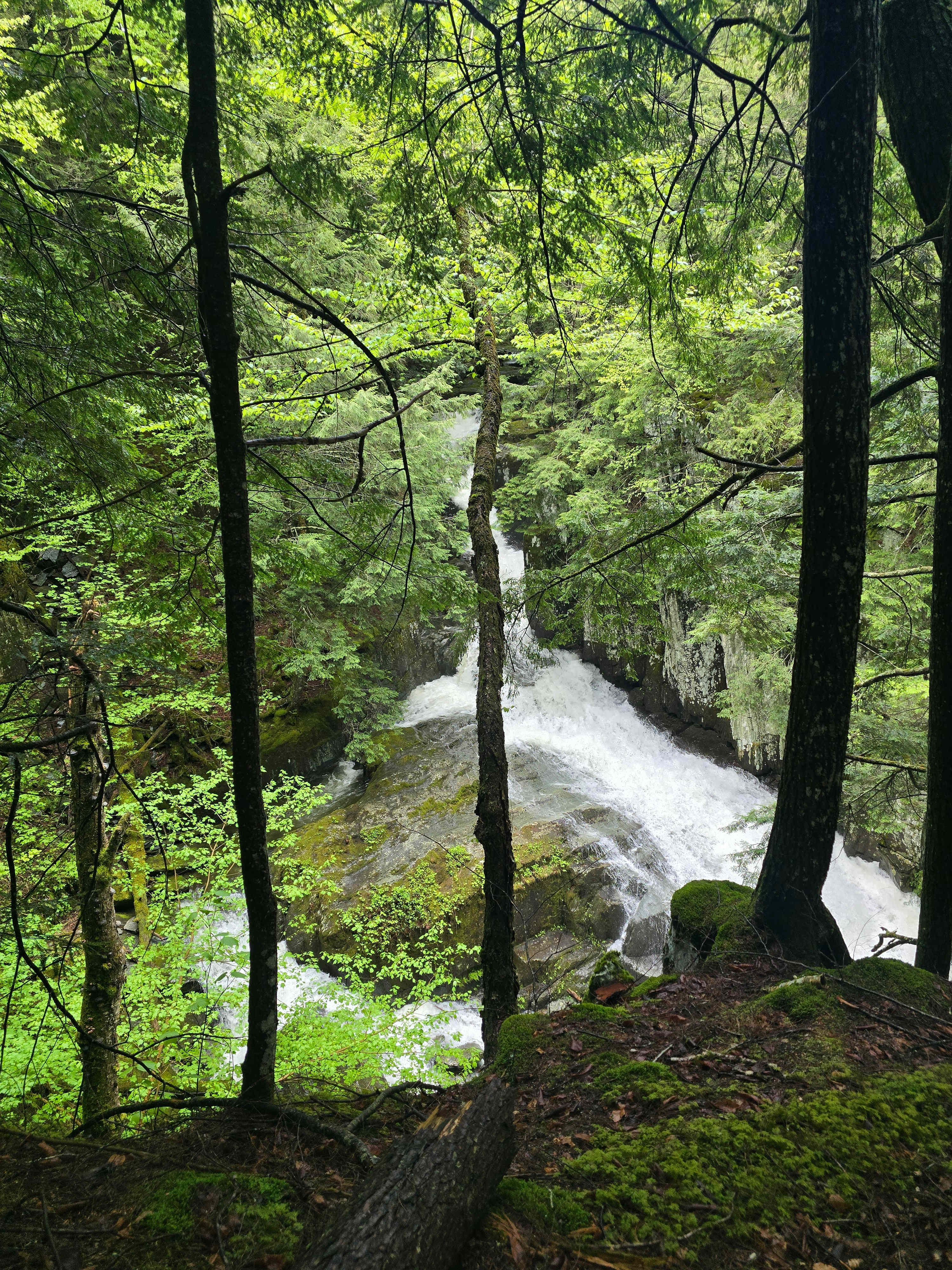 The Hollow at Dynamite Falls