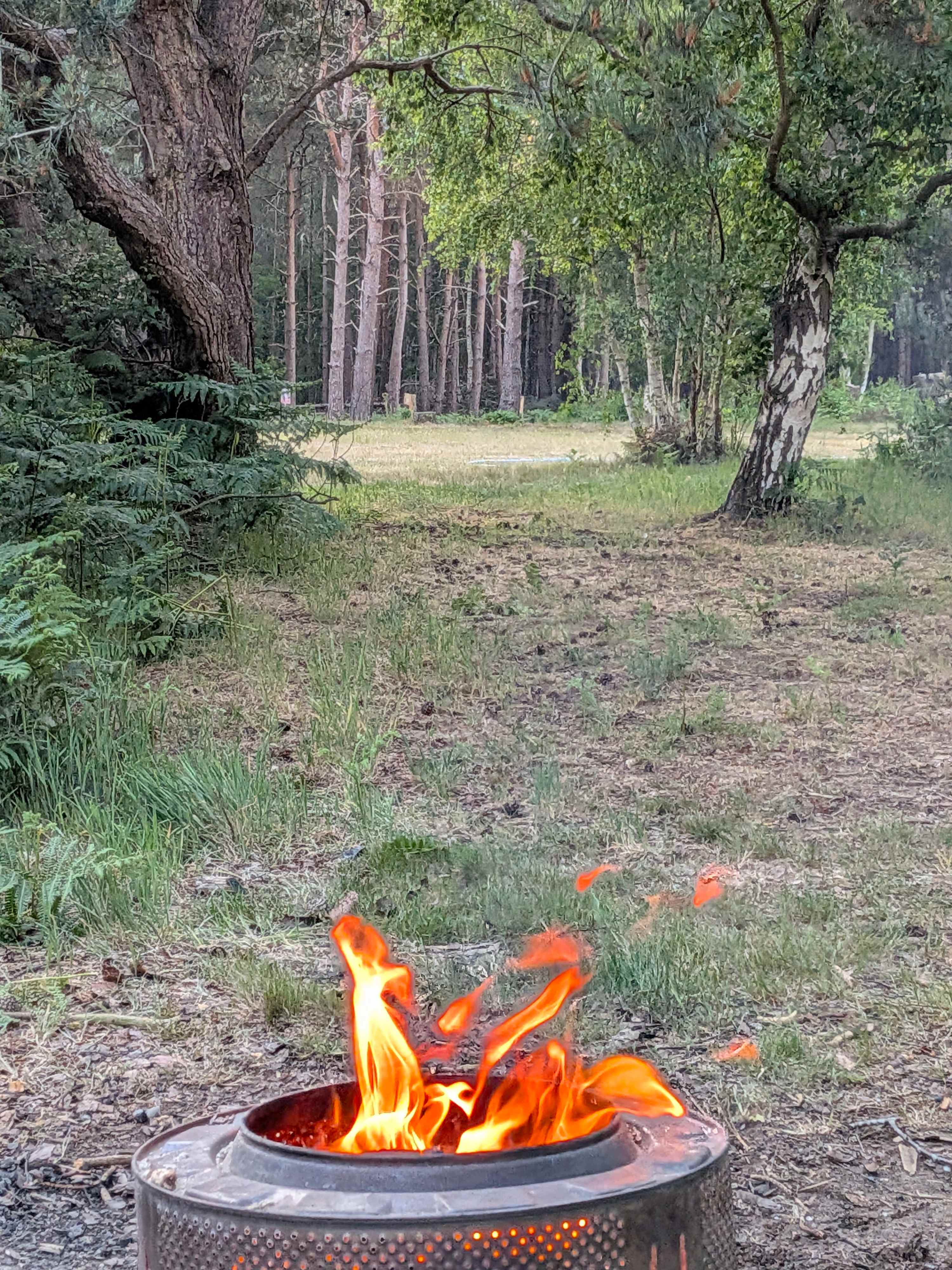 Holistic Woods Wild Campsite