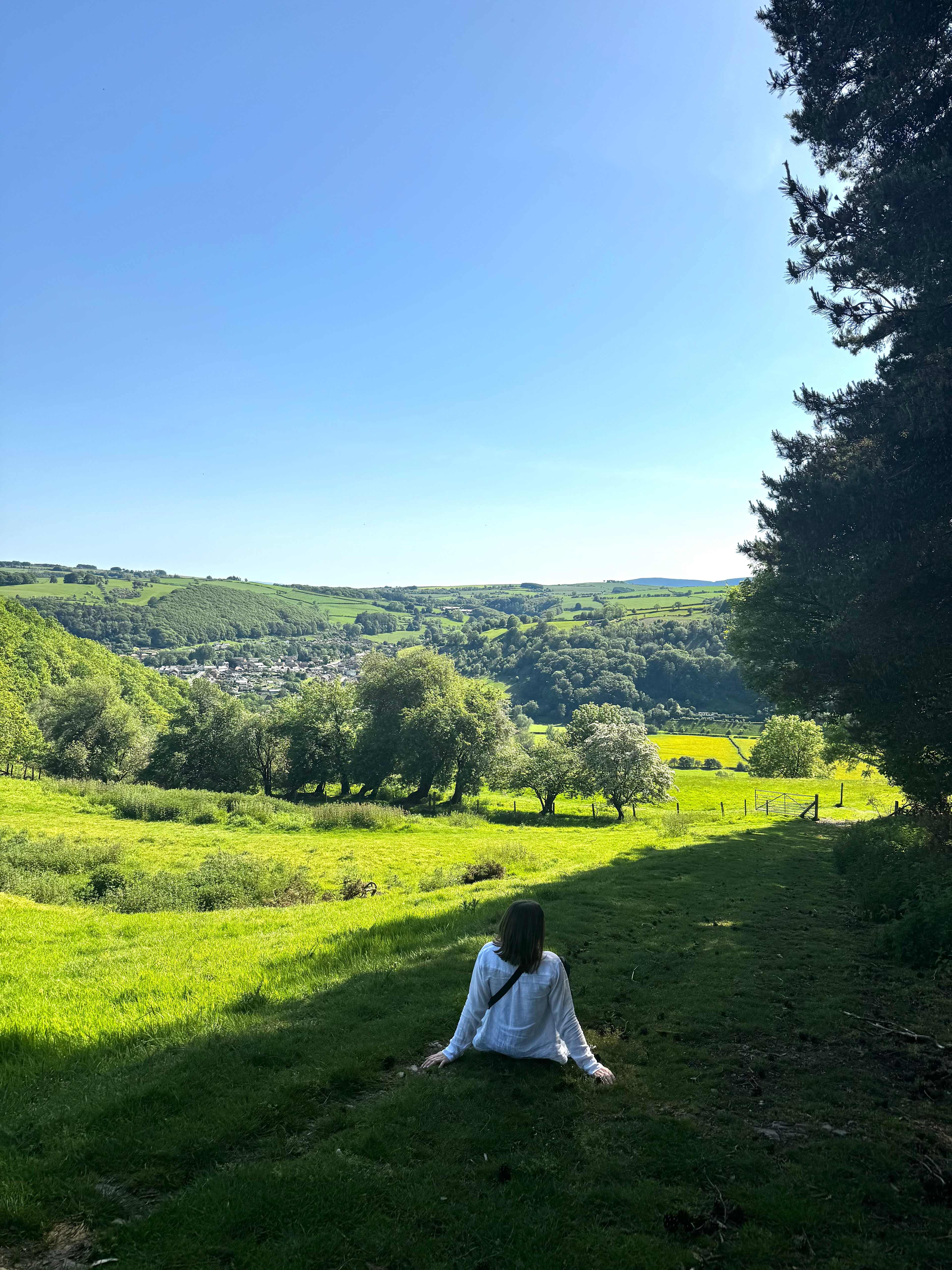 Panpwnton Campsite