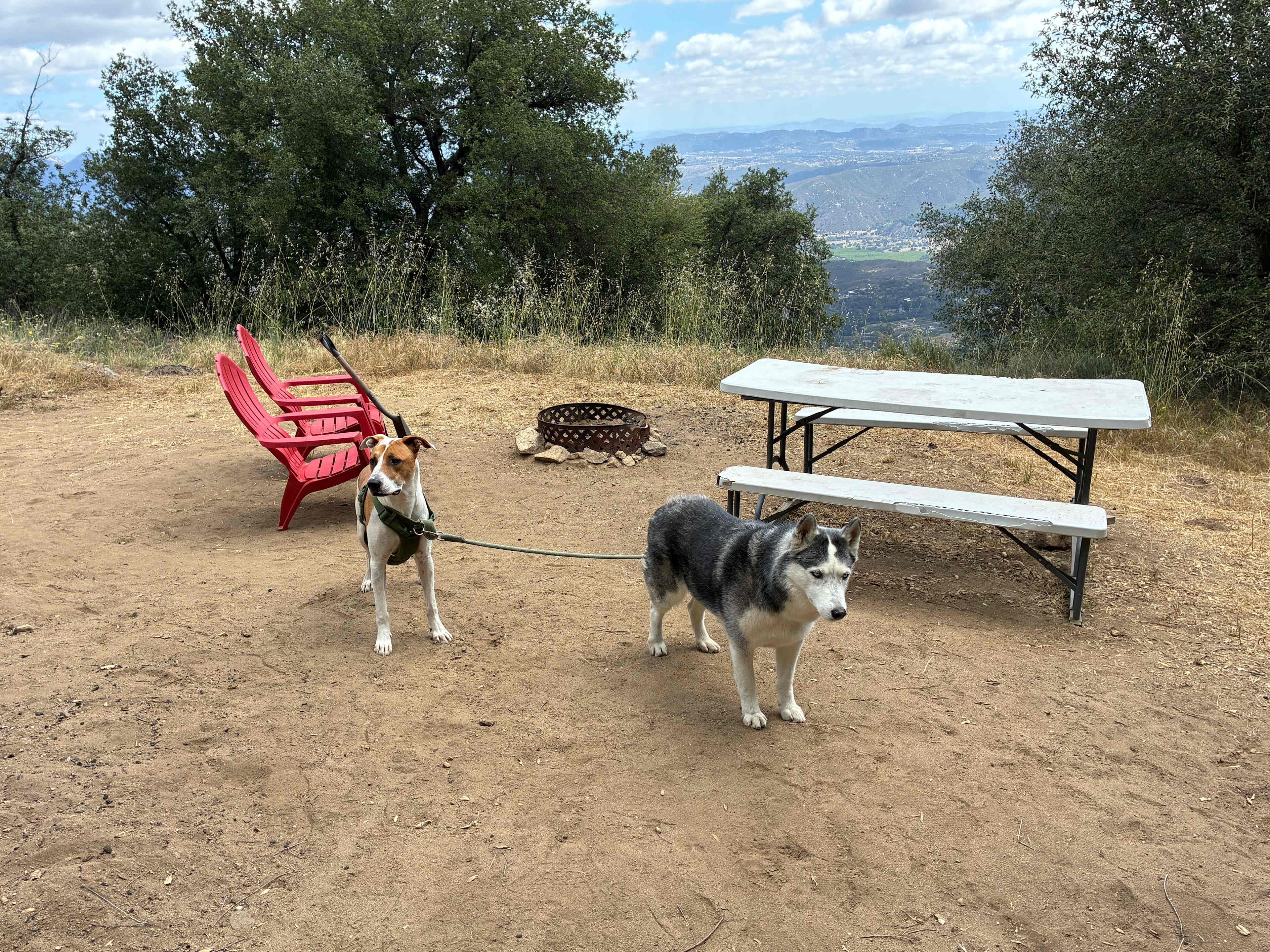 Magical Harrison Serenity Ranch