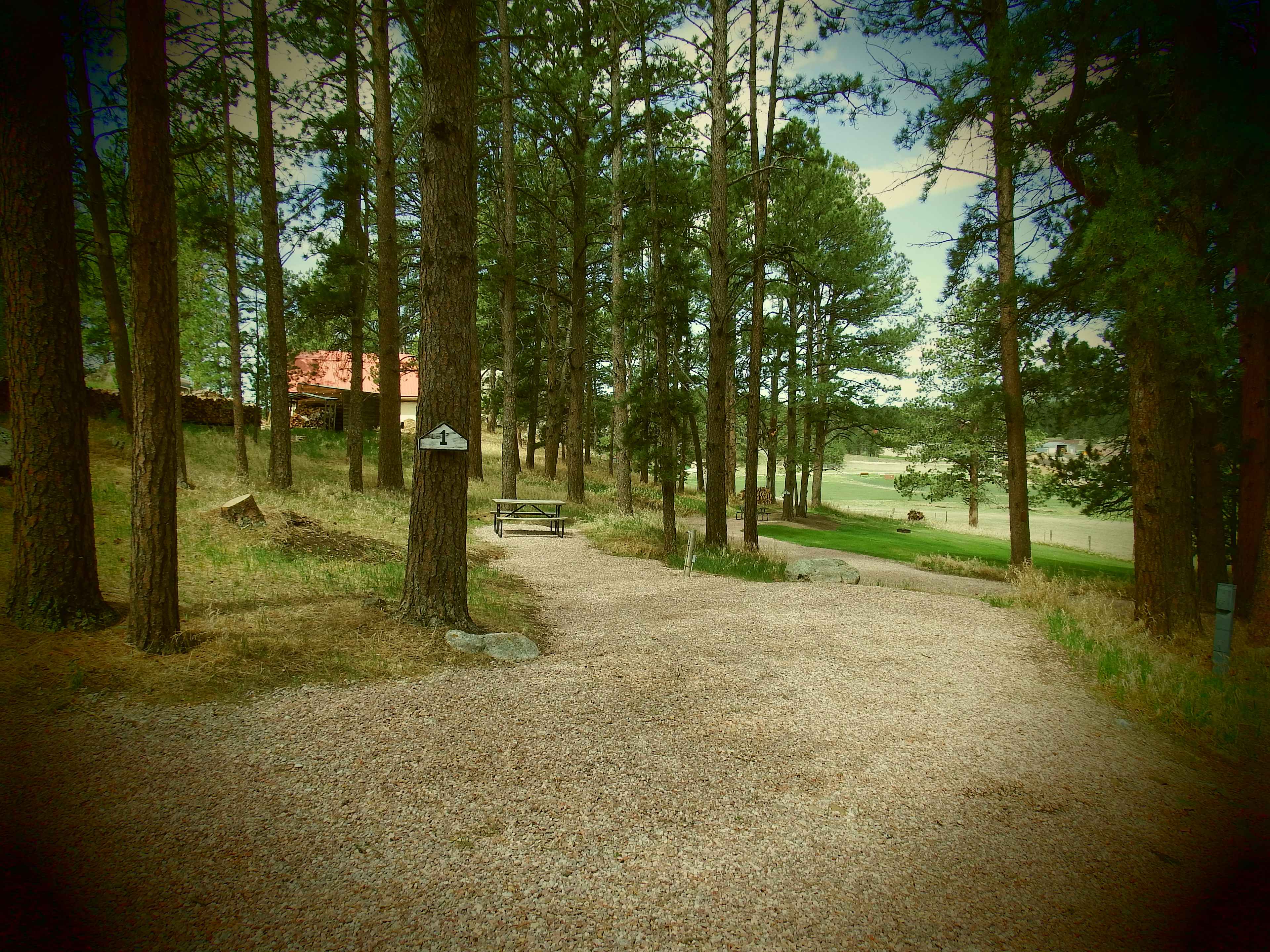 Picture of the site
