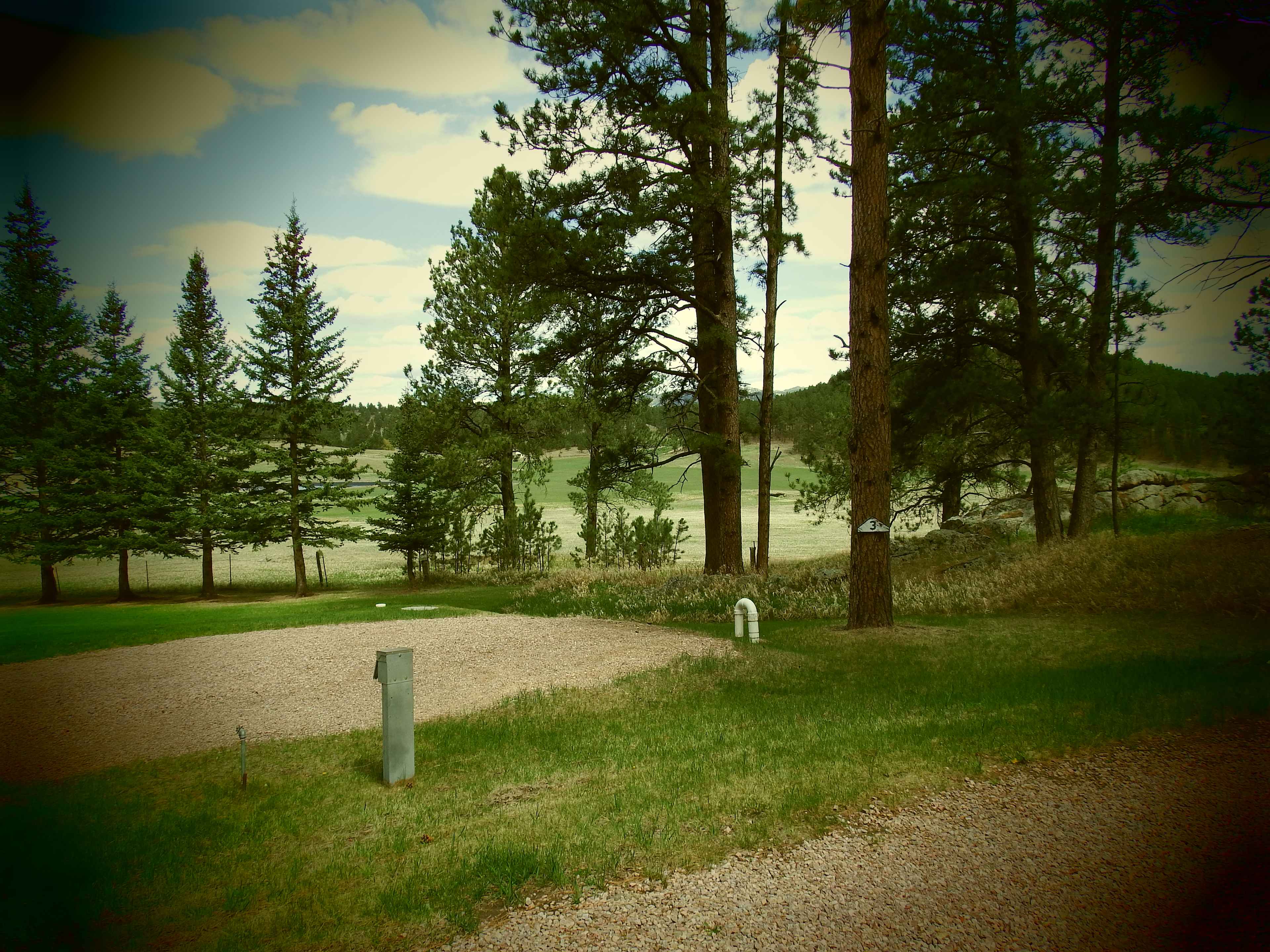 Picture of the site