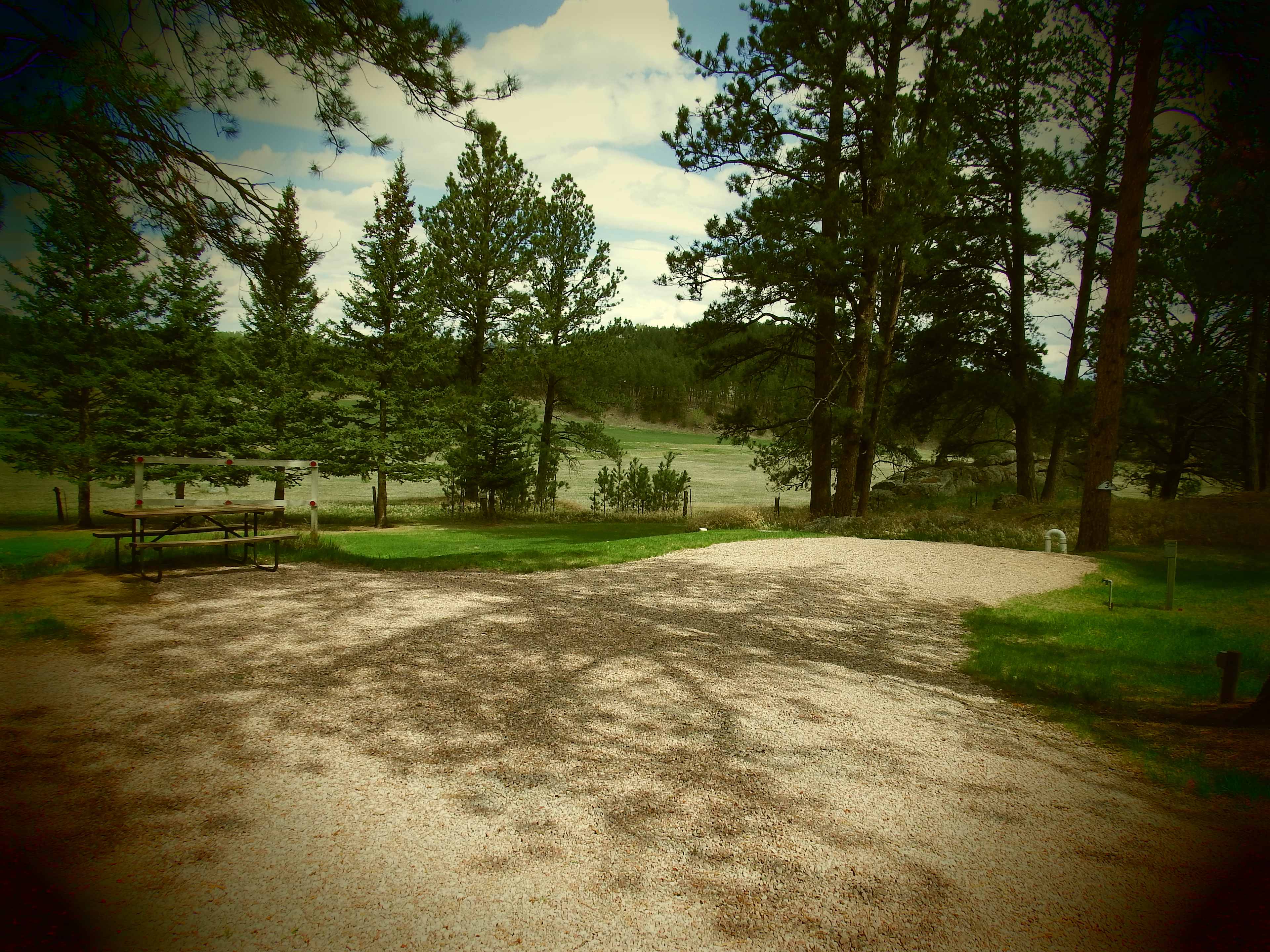 Picture of the site