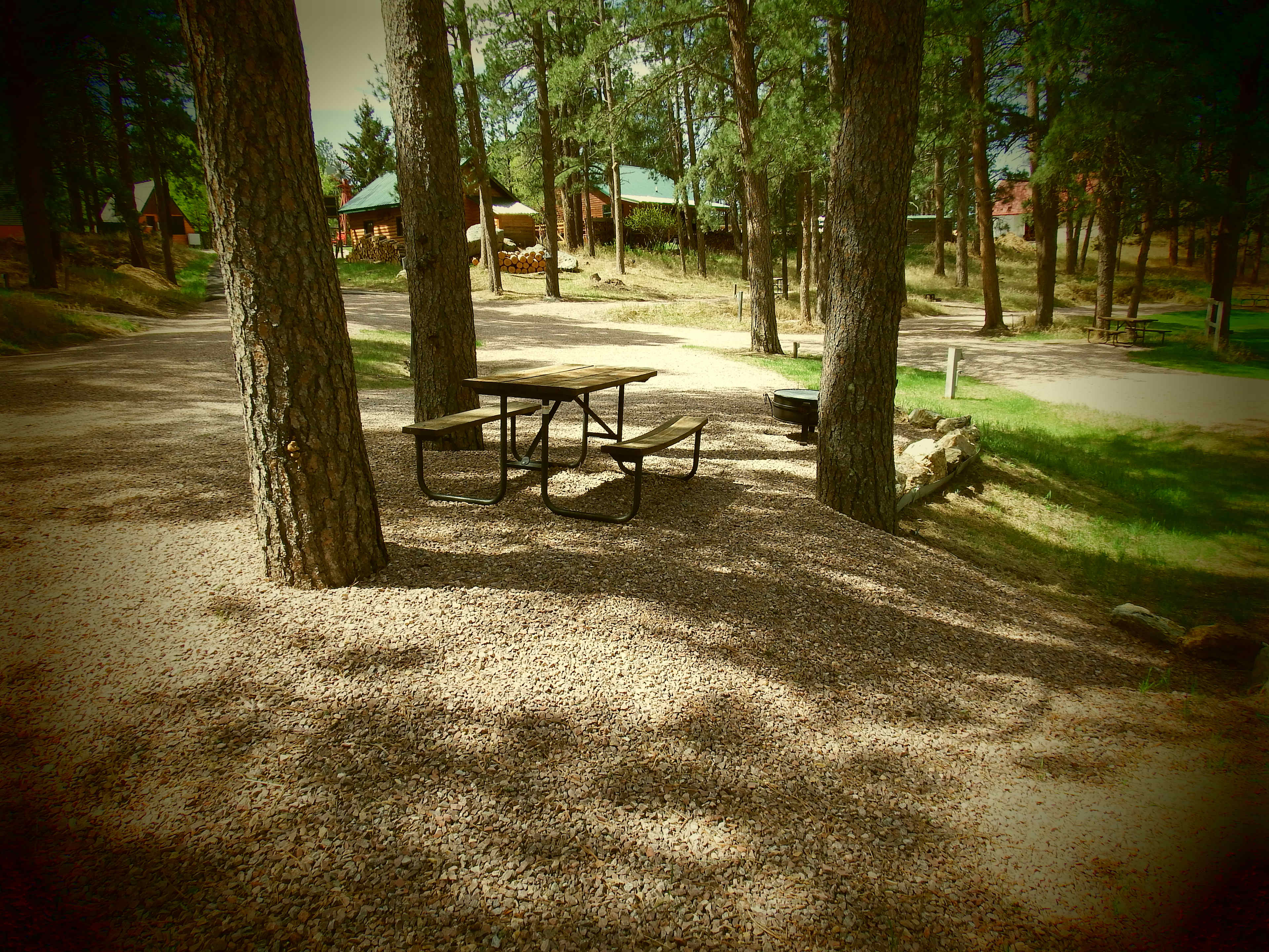 Picture of the site