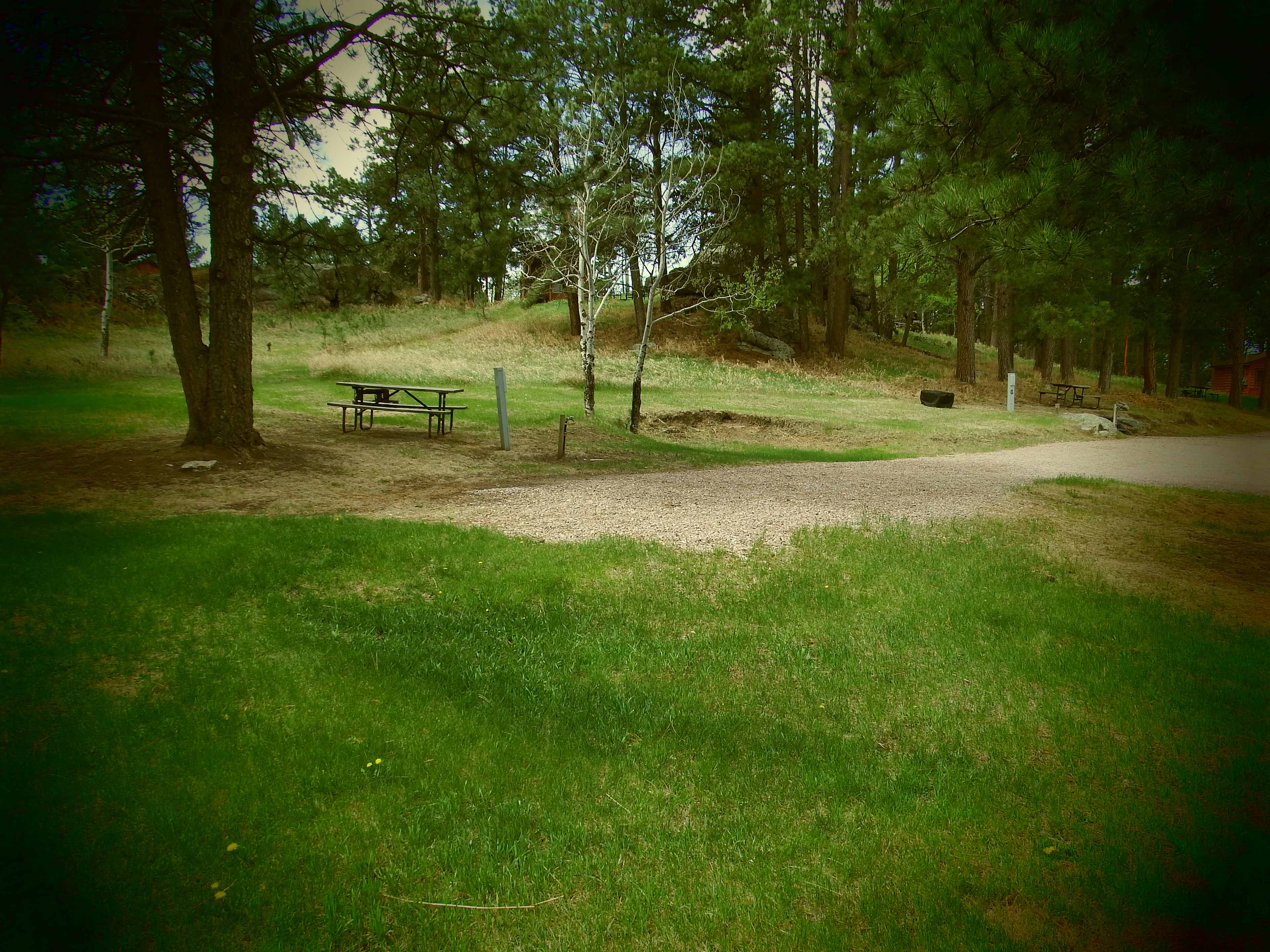 Picture of the site
