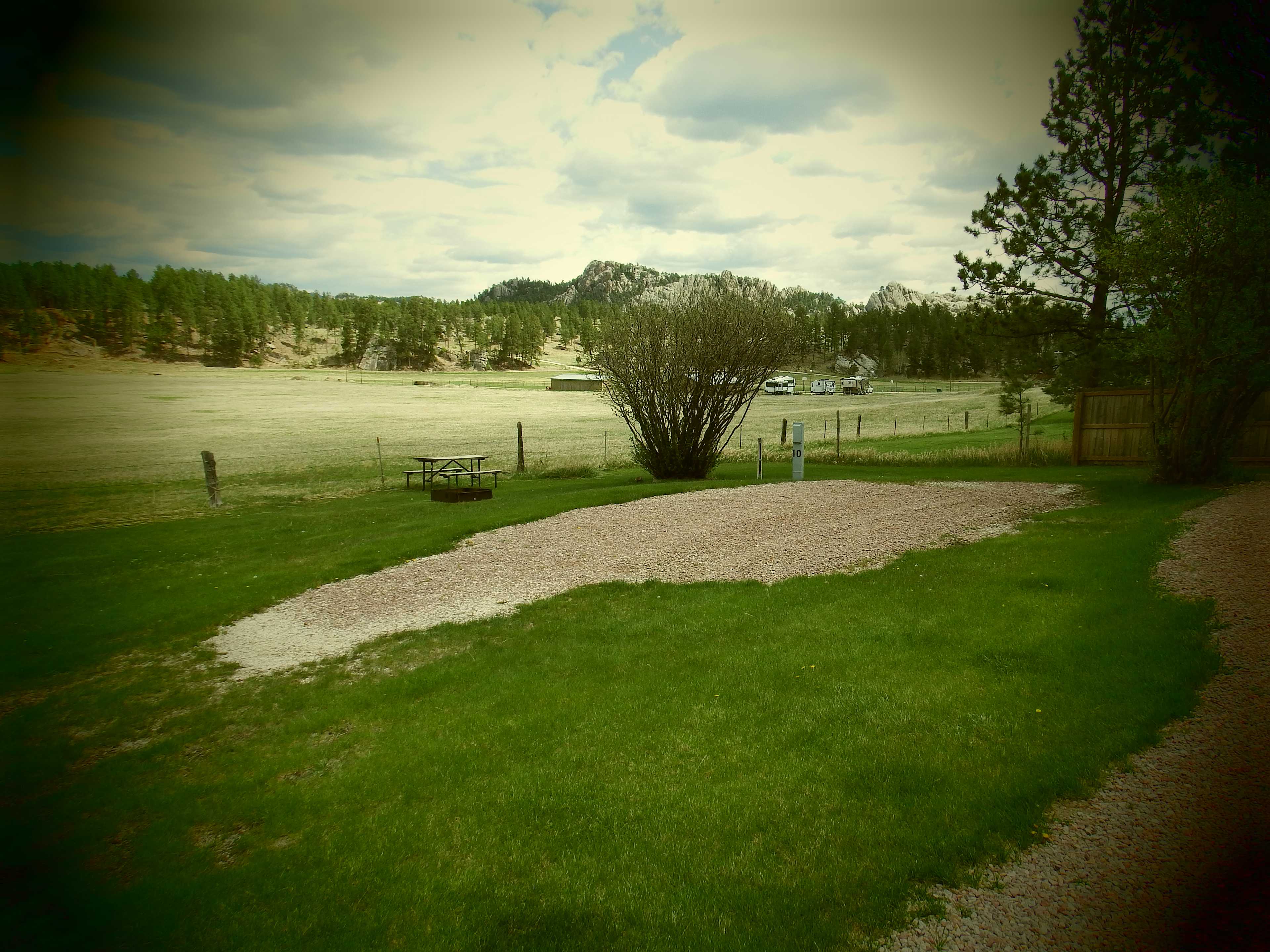 Picture of the site