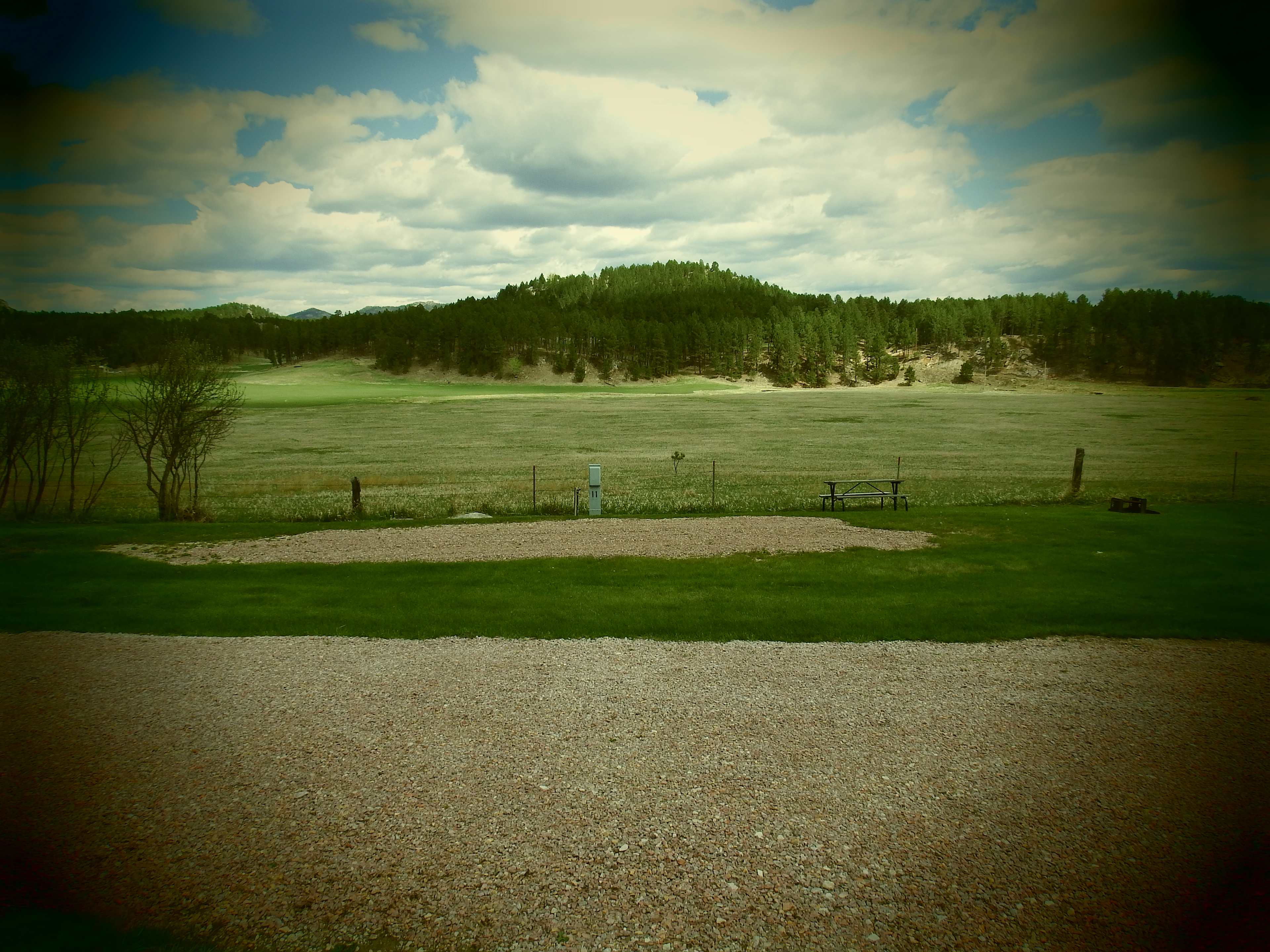 Picture of the site