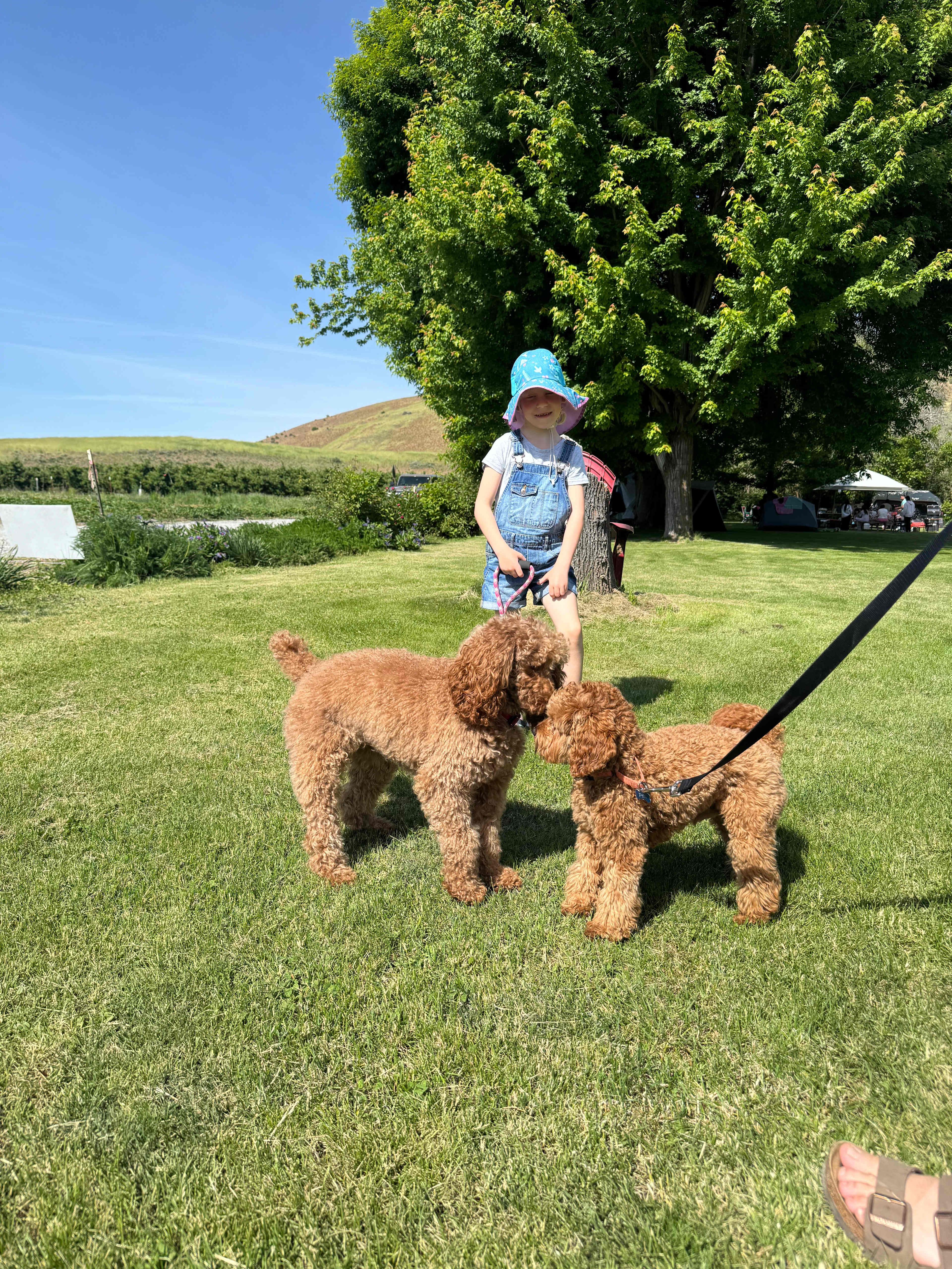 Summerhill Farm and RV Park