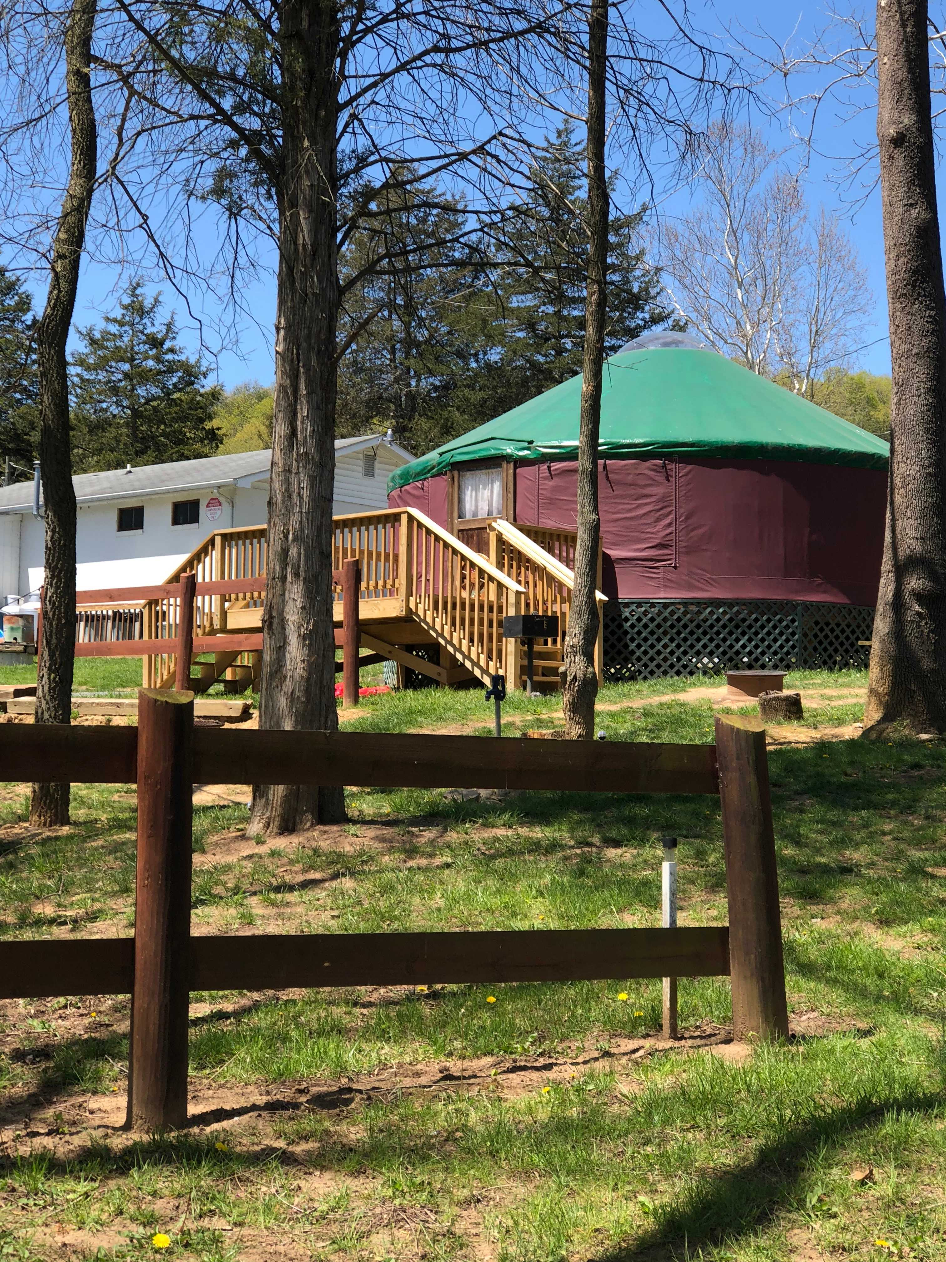 Picture of the site