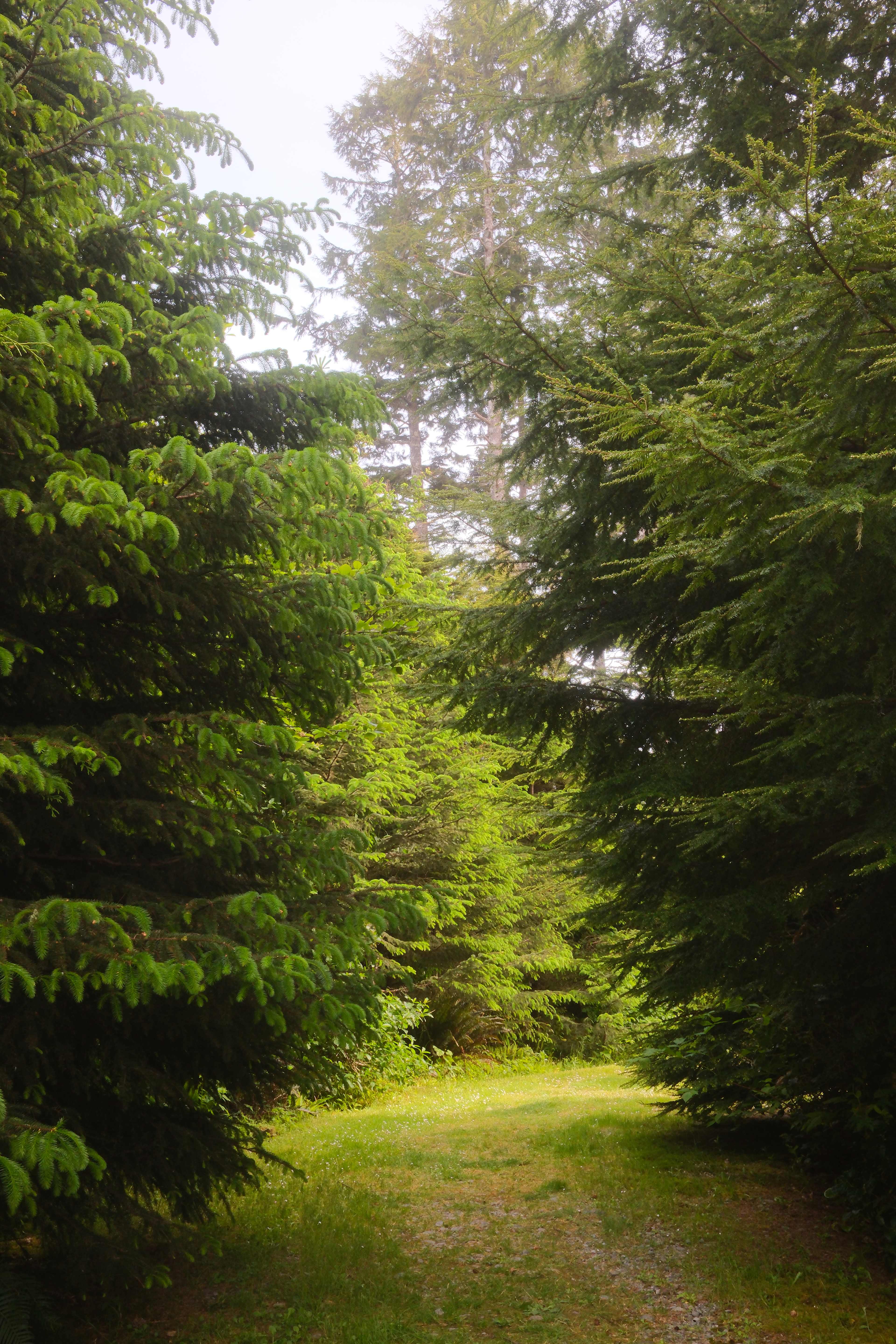 Aliya Preserve—WA Coast Eco-Retreat
