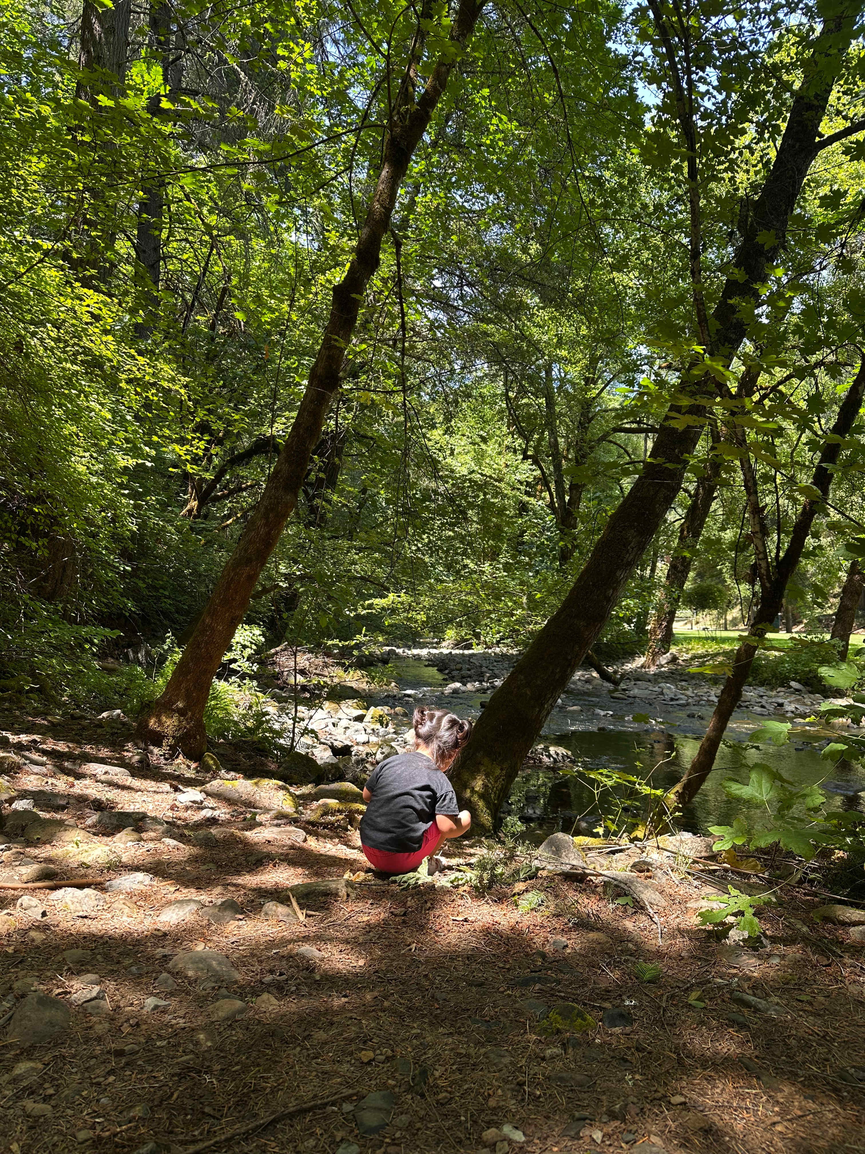 We slept right next to the creek. 