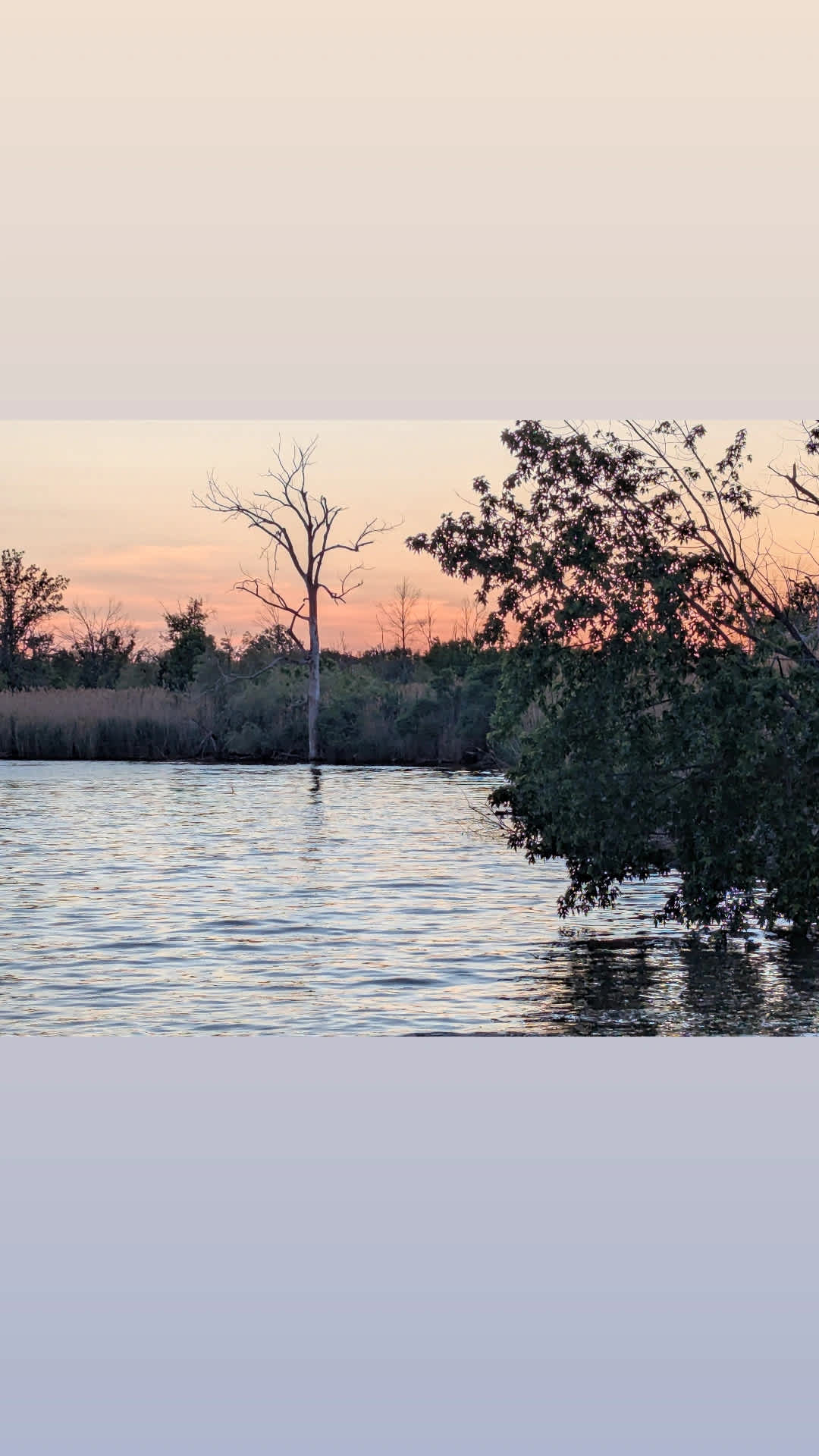 Riverside Camping