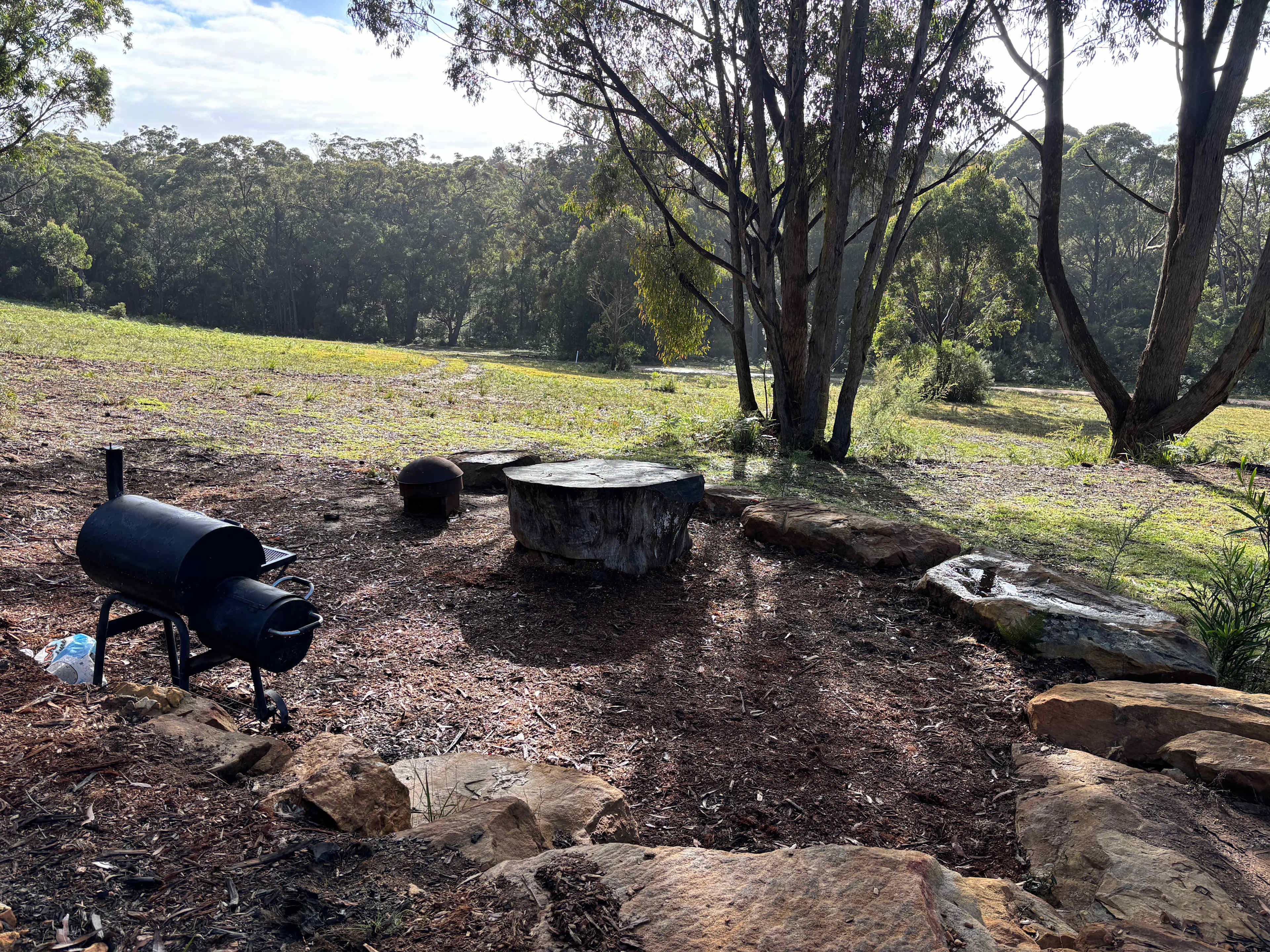 Picture of the site