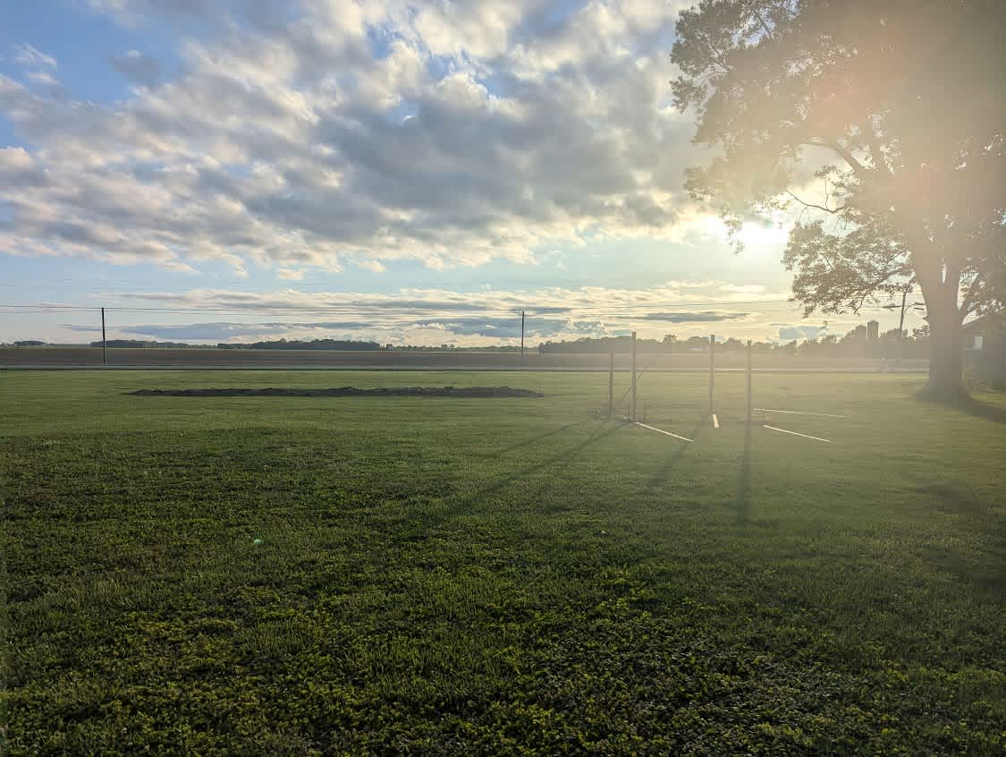 The Open Field