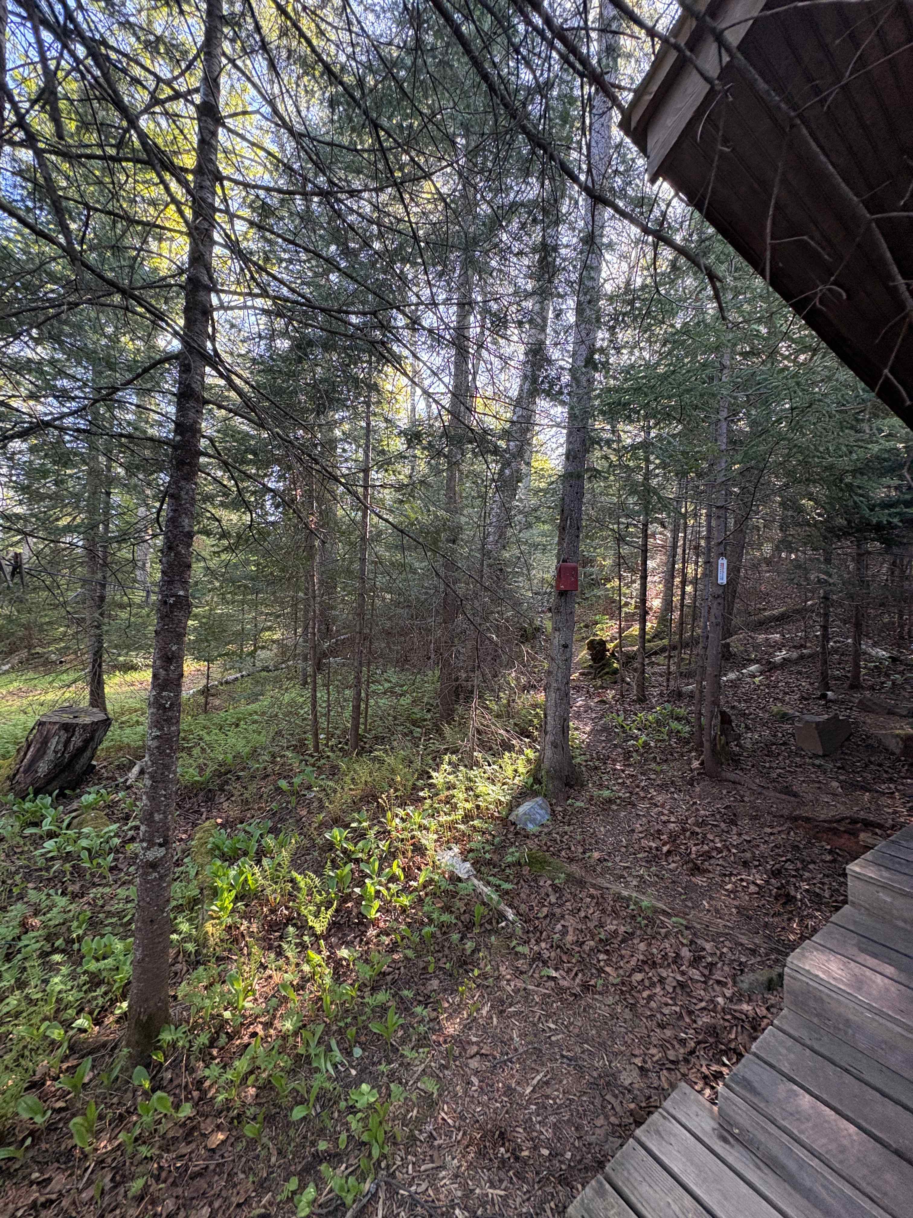 Balsam Ridge Retreat