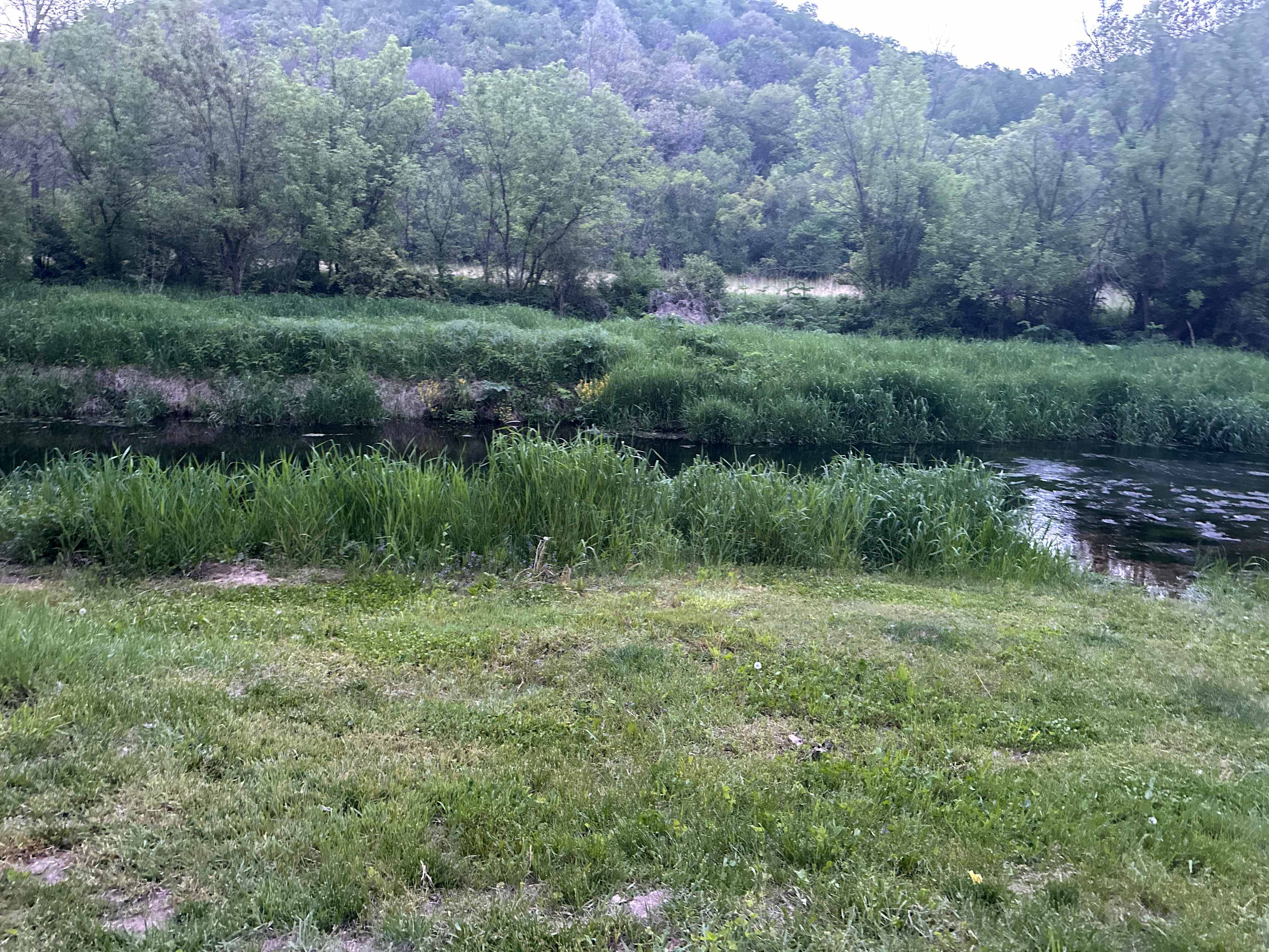 New Hartford trout camp