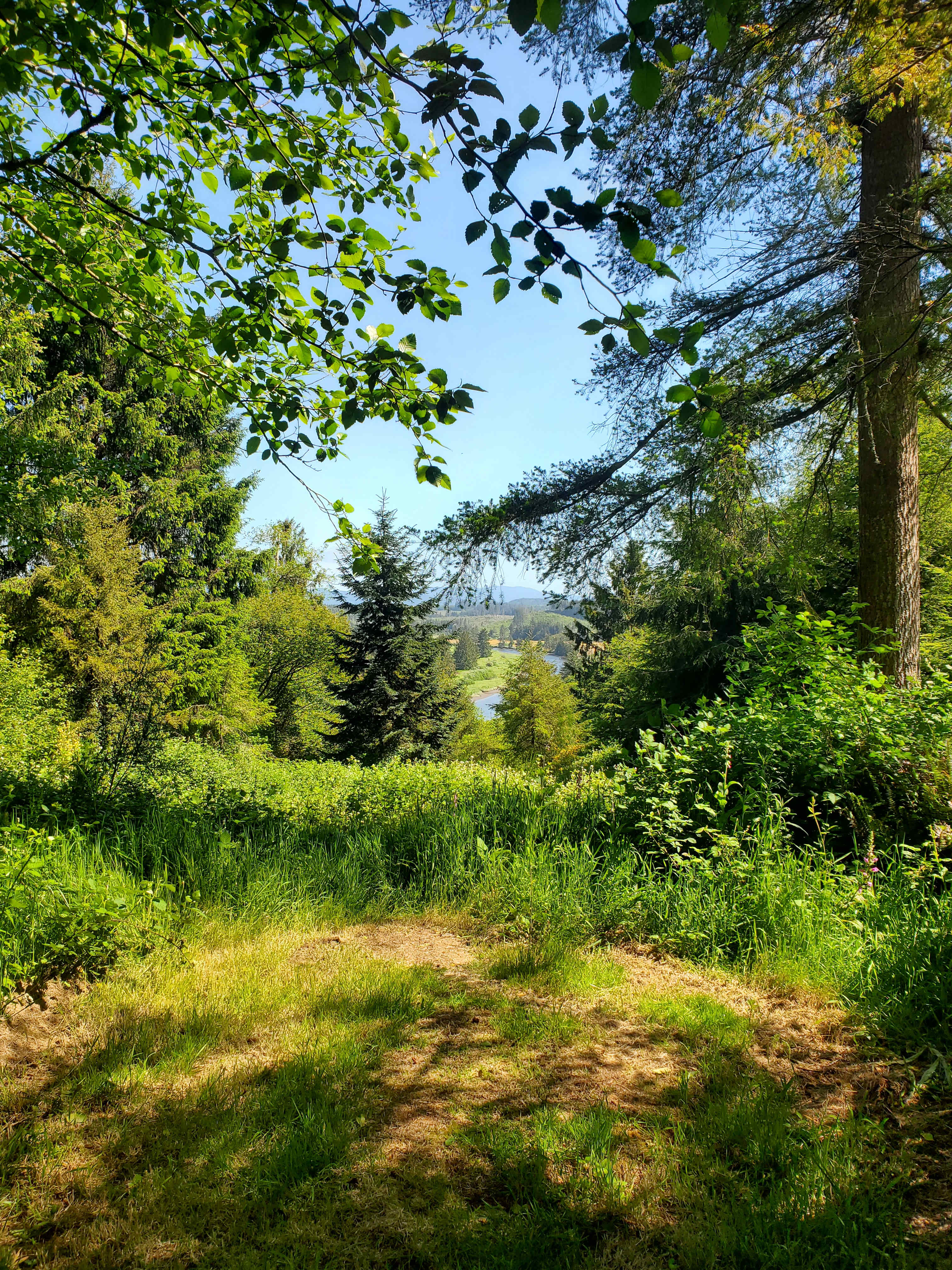 Perfect morning view from the swing
