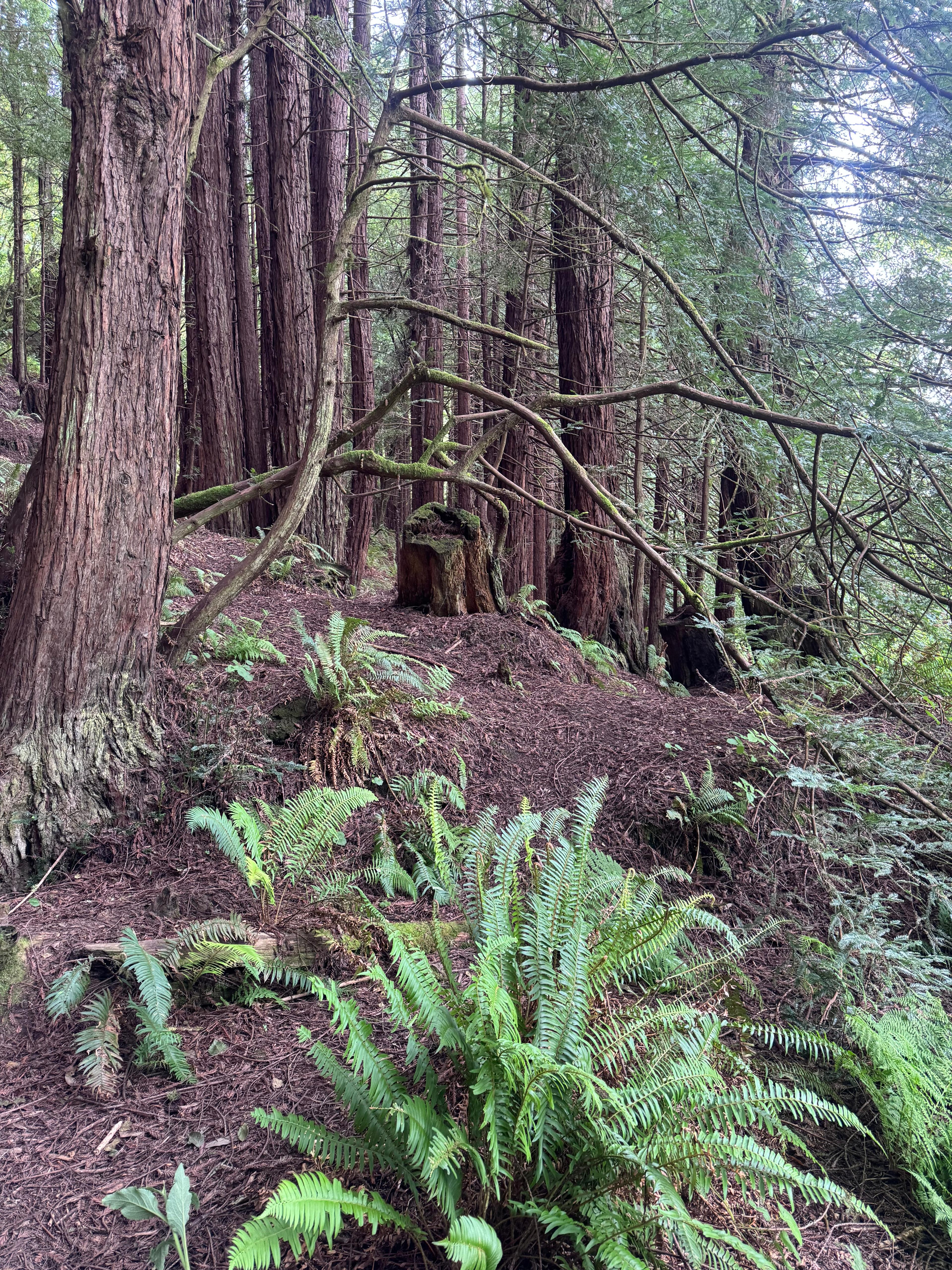 Salmon Creek Ranch