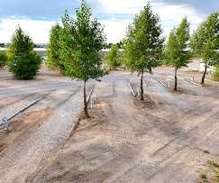 Picture of the site