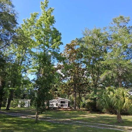 Blackbirds Hideaway Resort & Graceville Campground