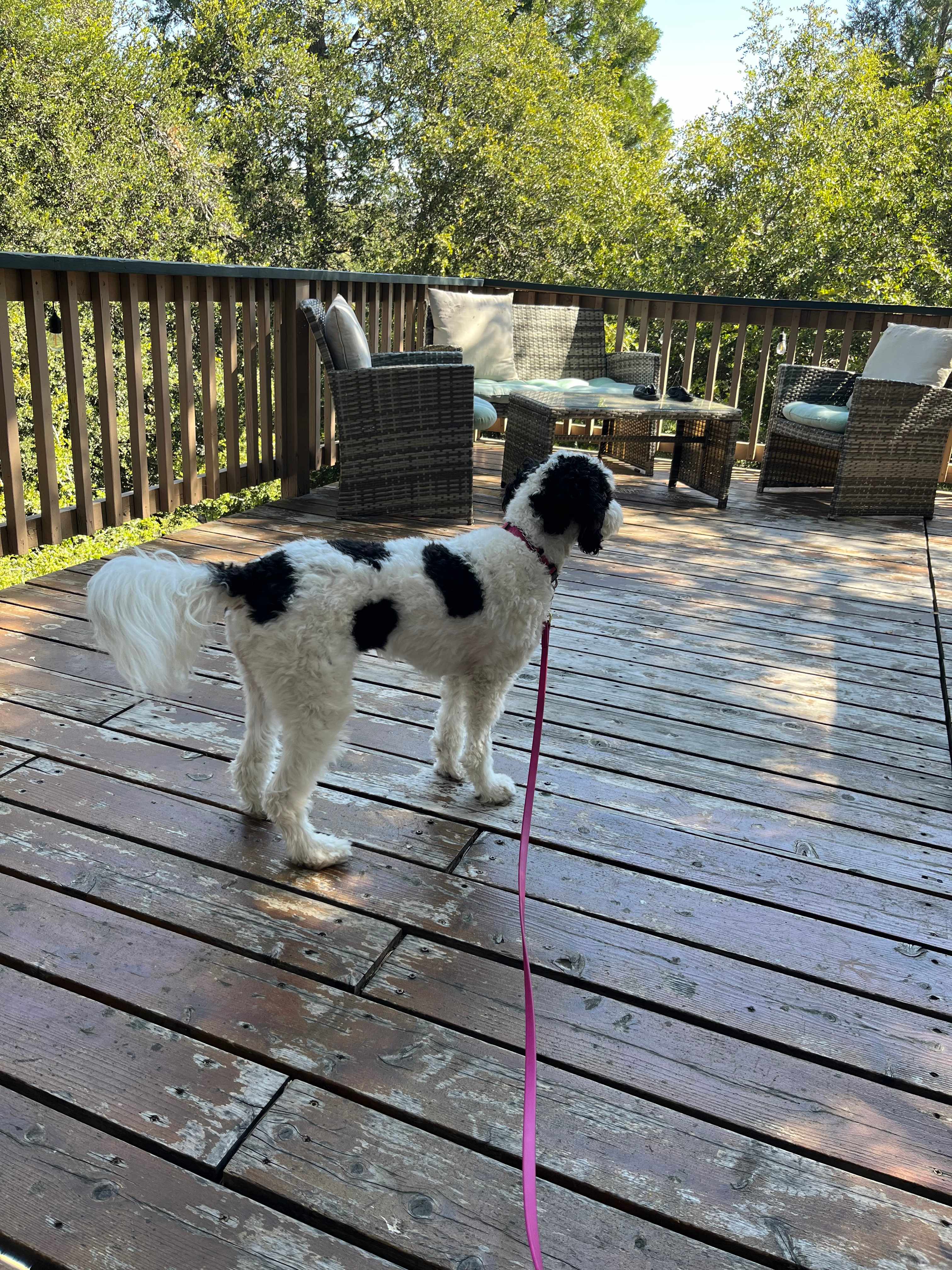Enjoying the view 
