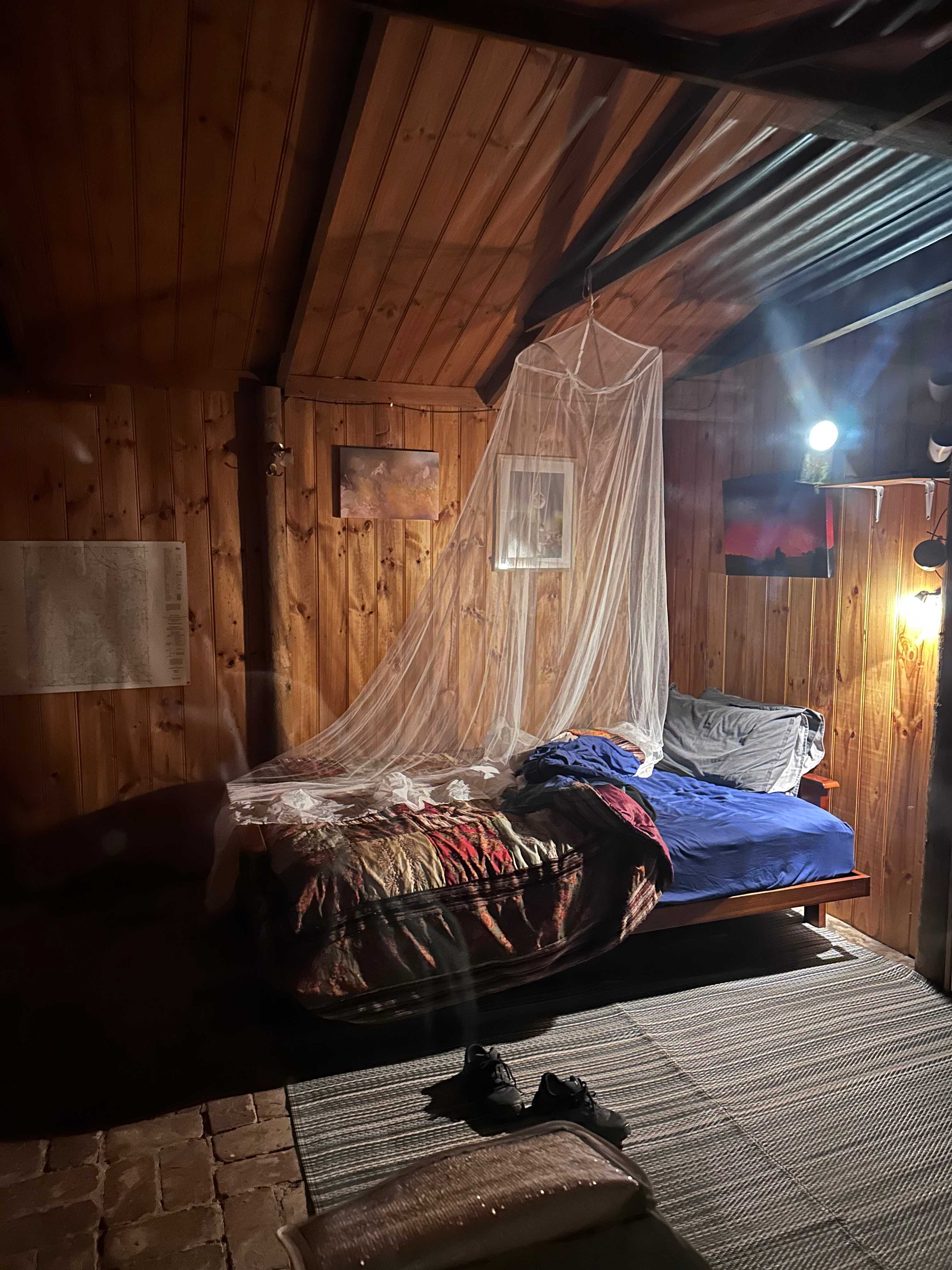 Hut Amongst The Gum Trees