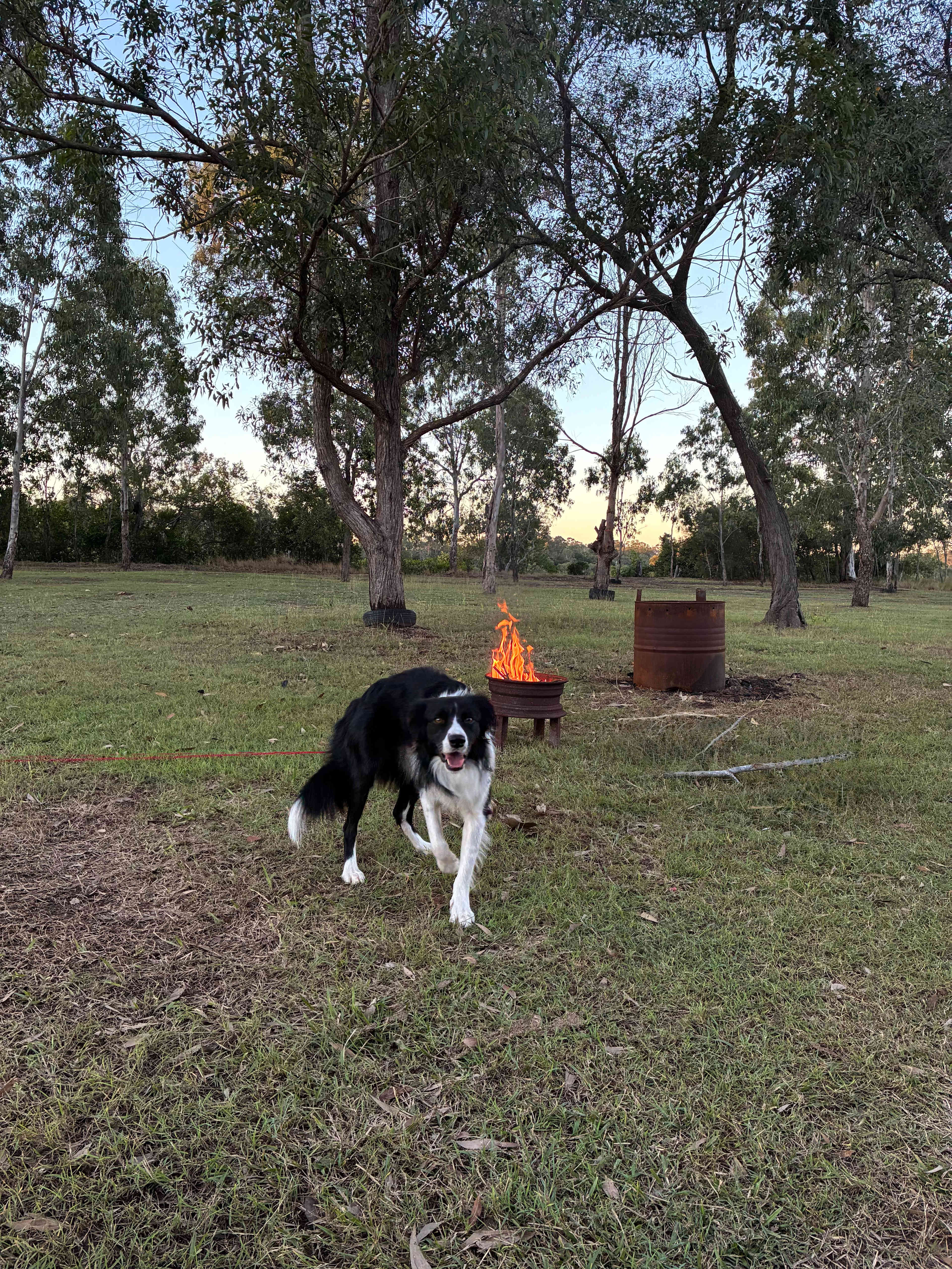 Baffle Creek Camping  Midskinrick