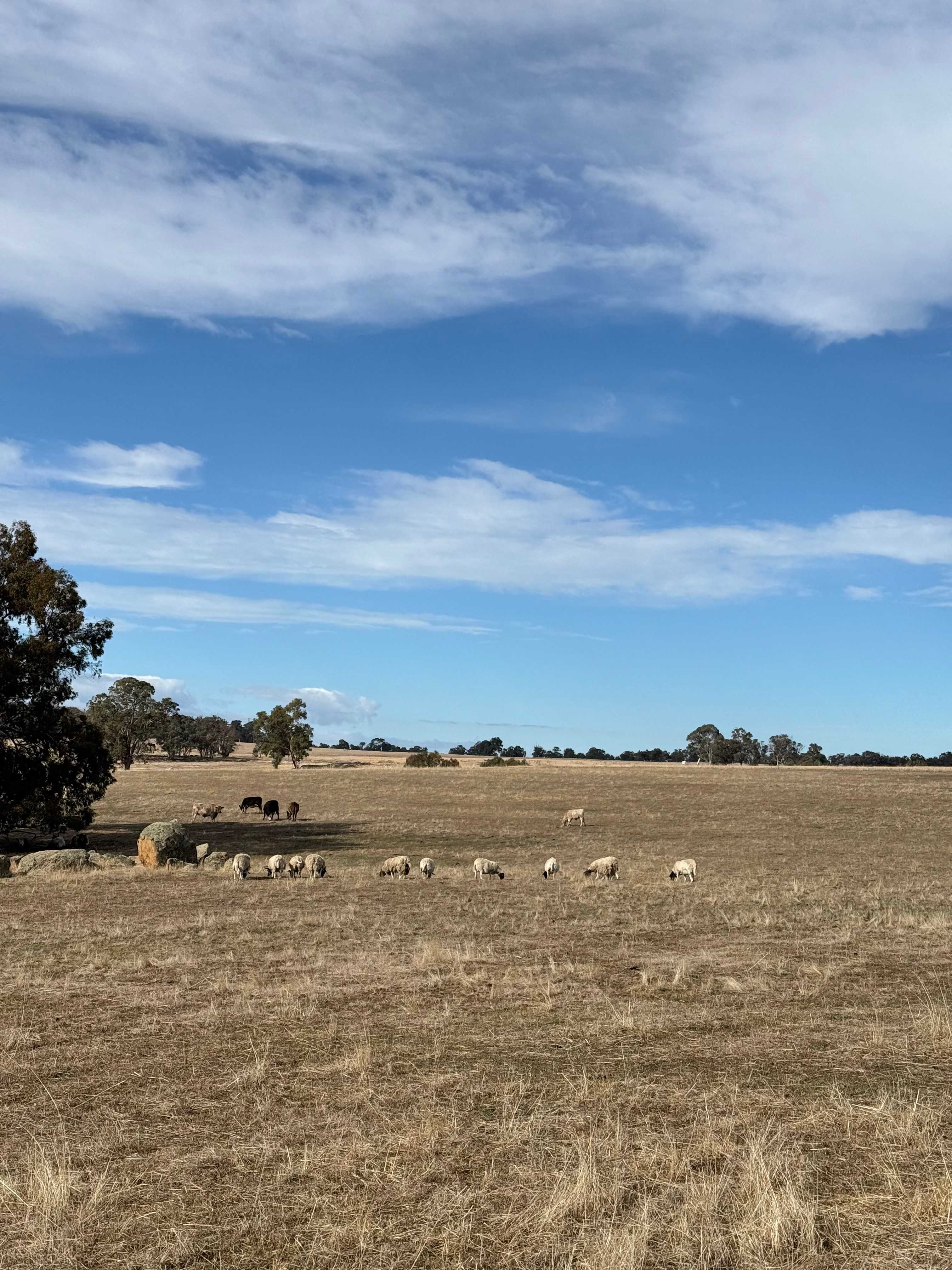 Peaceful Valley Farm