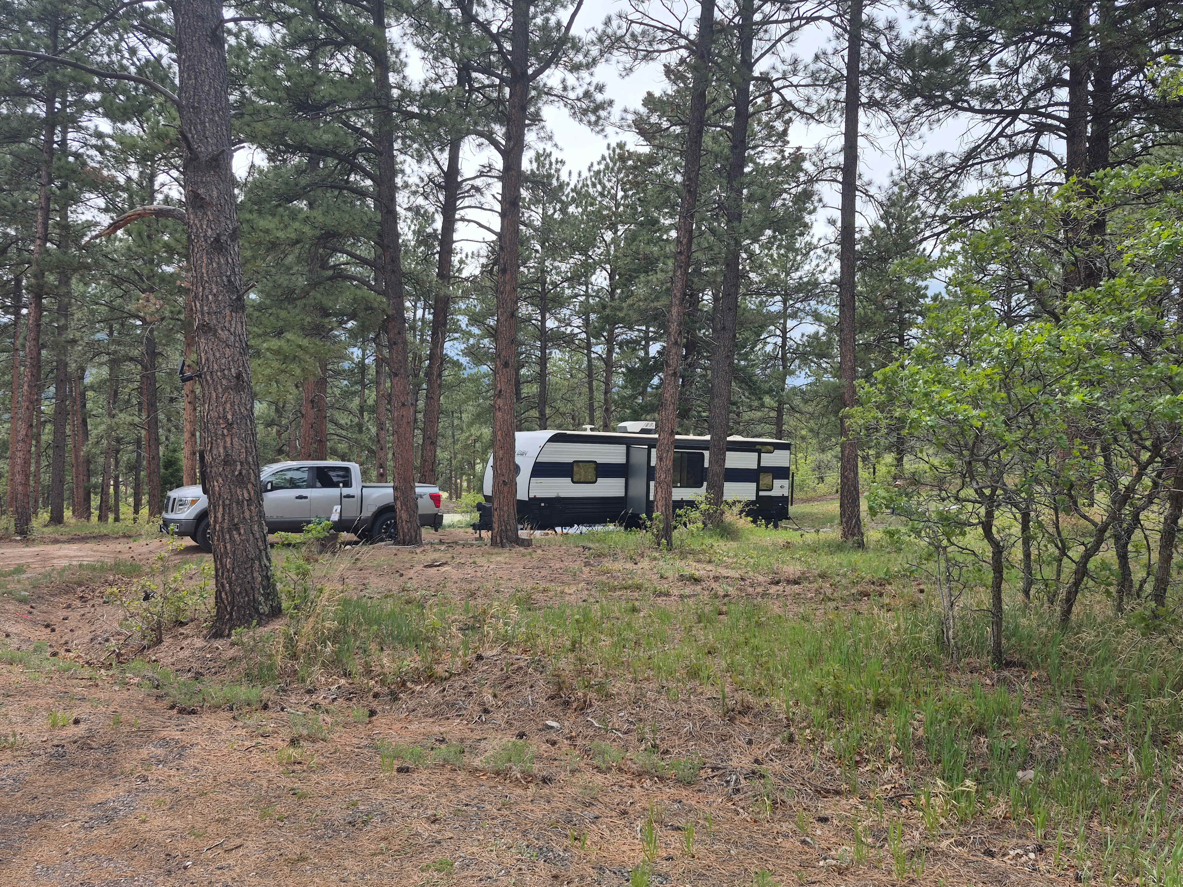 Standiford Goat and Equine Ranch