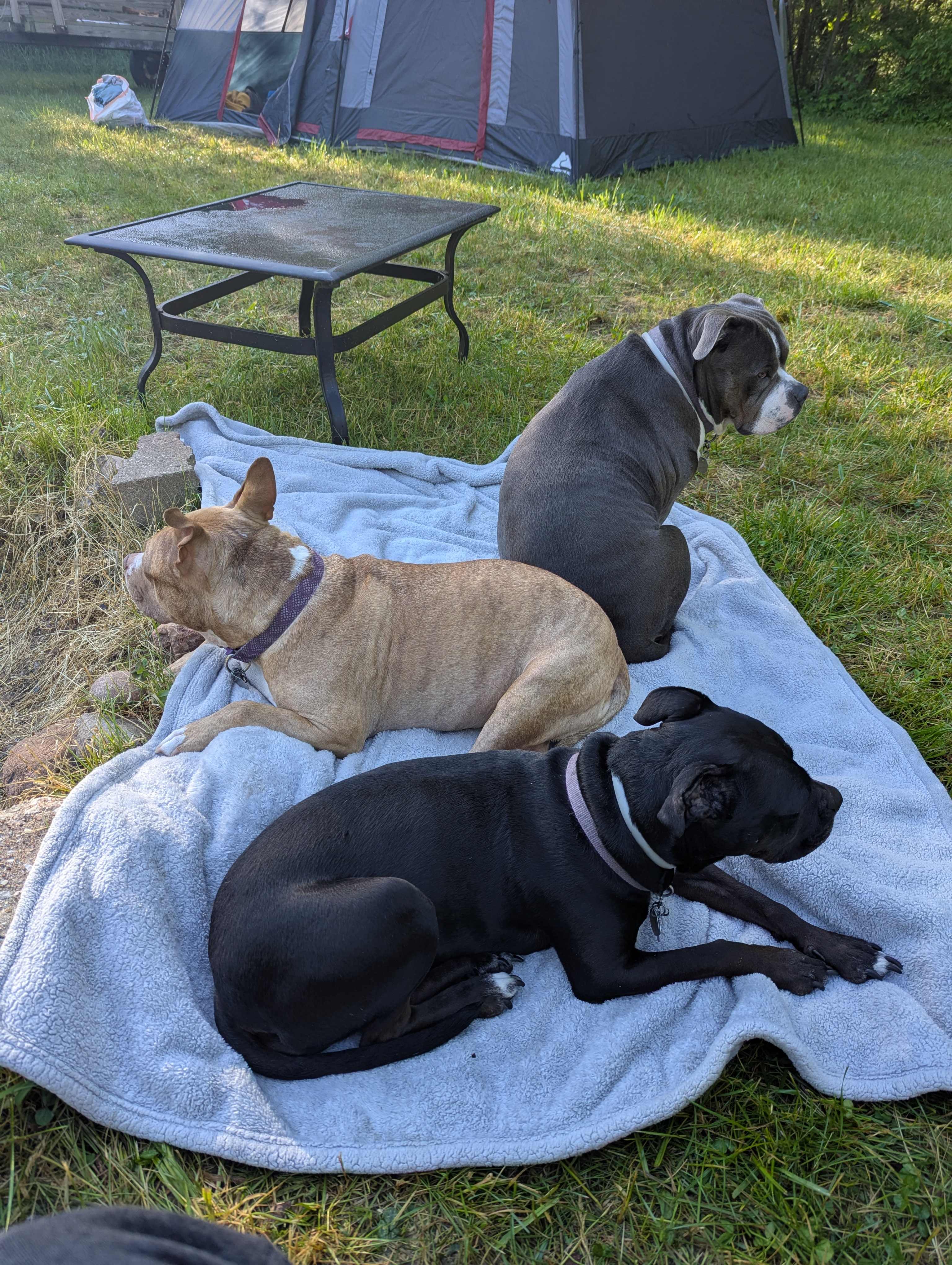 Gage Street Sanctuary