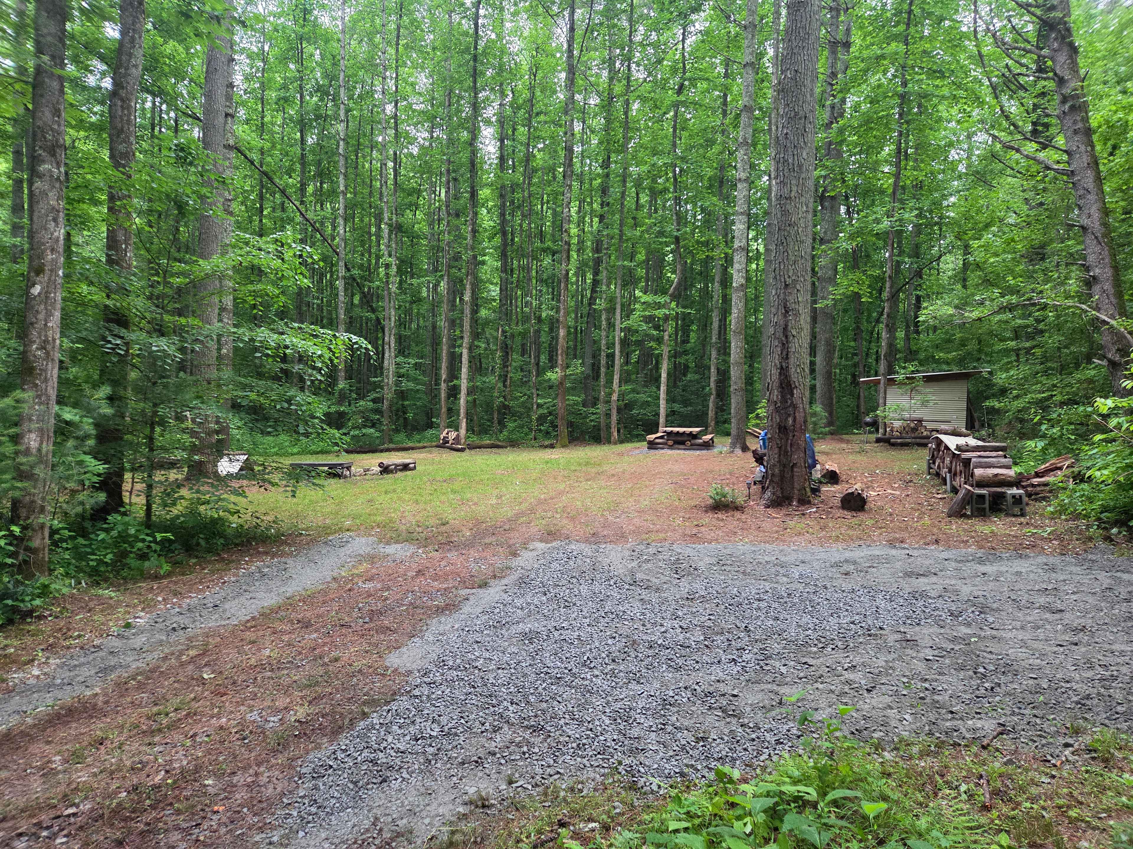 Beech Bottom Camp